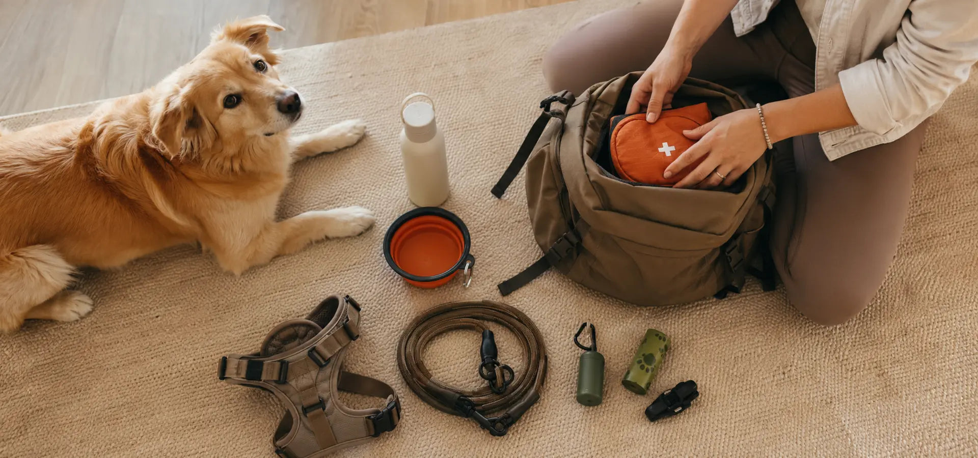 Dog walking and day trip safety essentials packed for travel