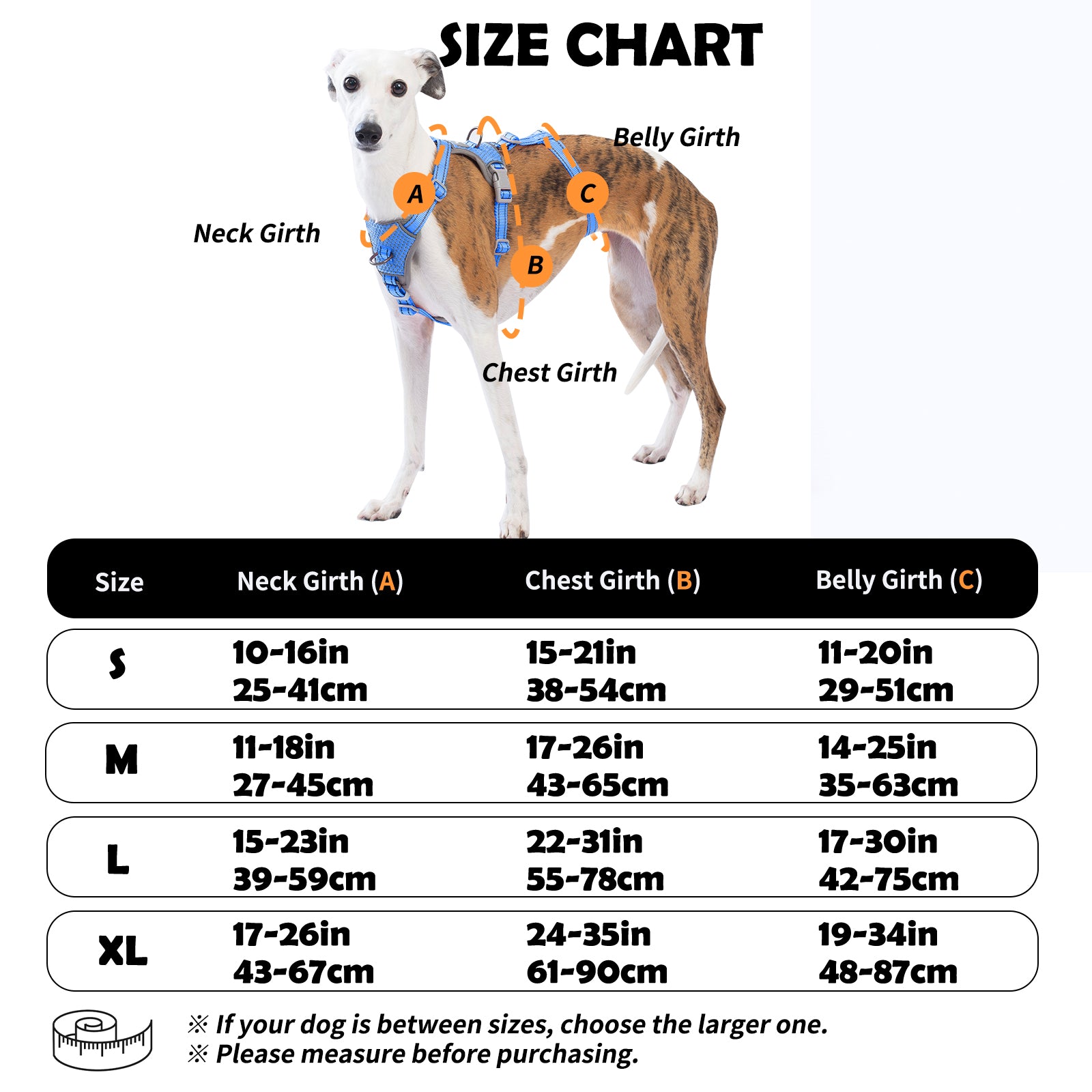Two-in-OneGuard Reflective Sea Blue dog harness alternate product view and strap layout