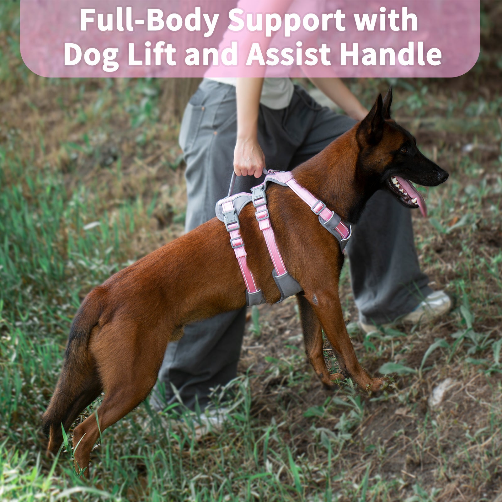 AllShieldPro Reflective Light Pink dog harness padded comfort and breathable construction