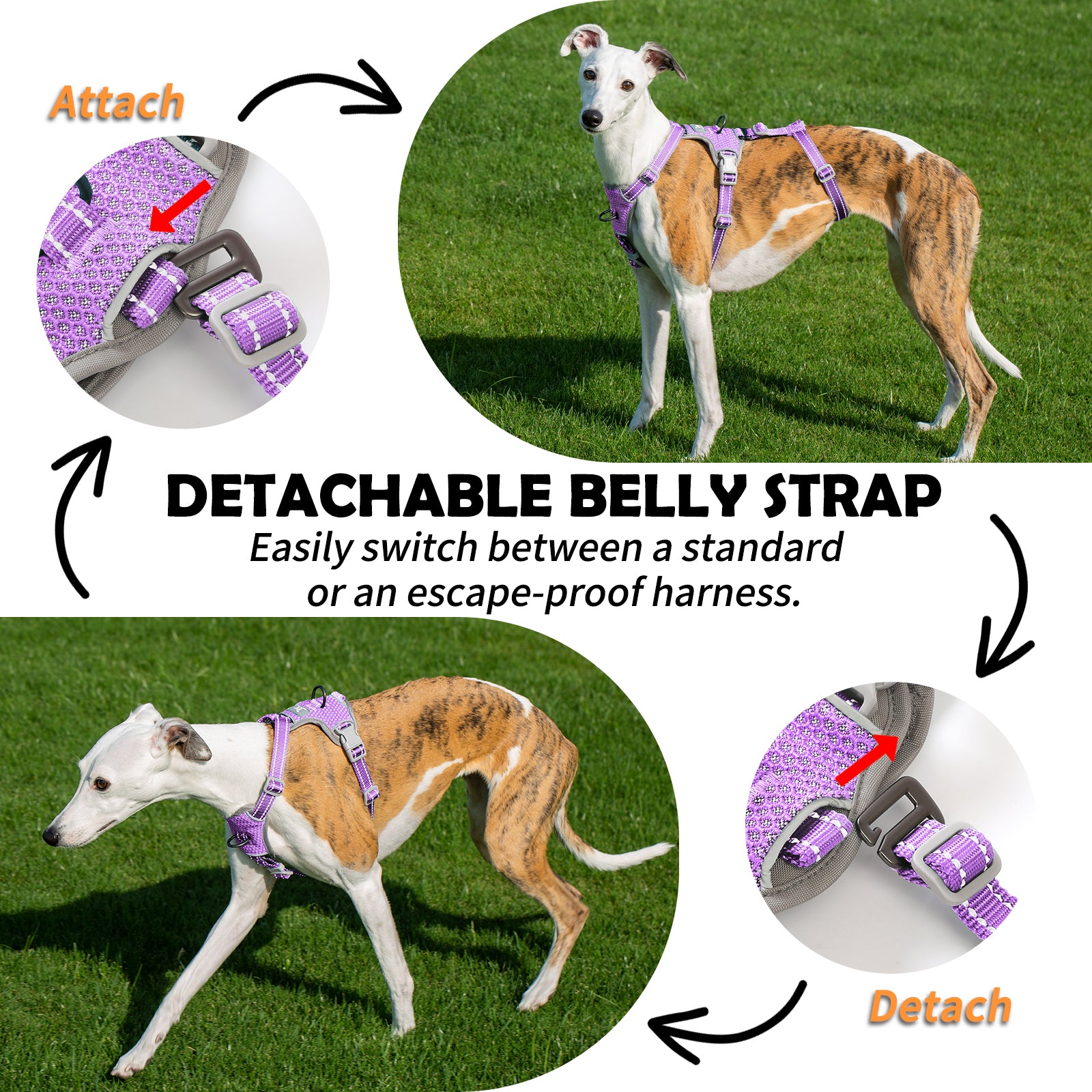 Two-in-OneGuard Reflective Lavender Purple dog harness coverage and fit details