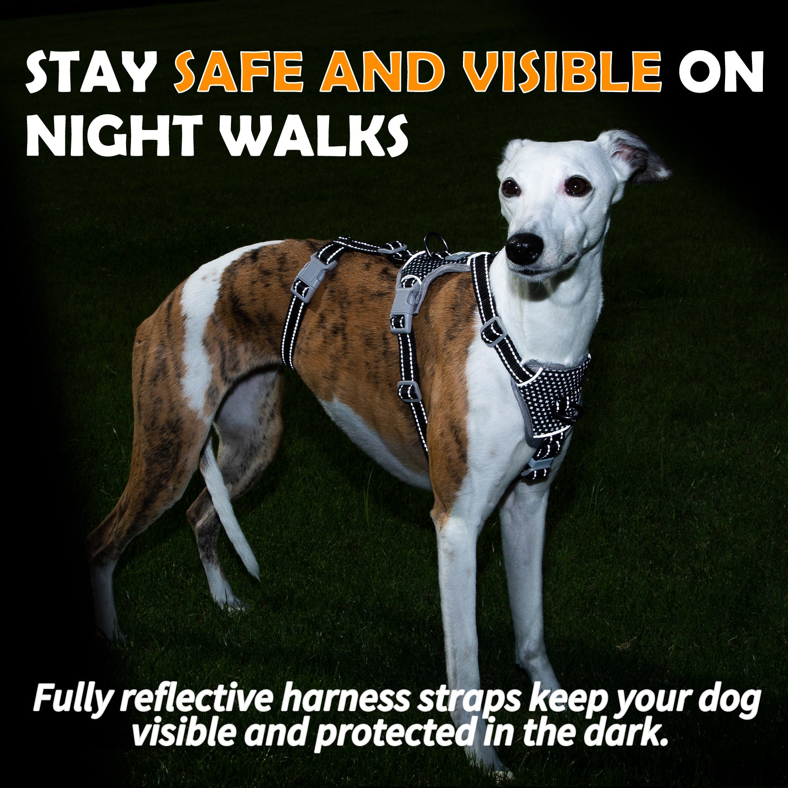 Two-in-OneGuard Reflective Black dog harness padded comfort and breathable construction