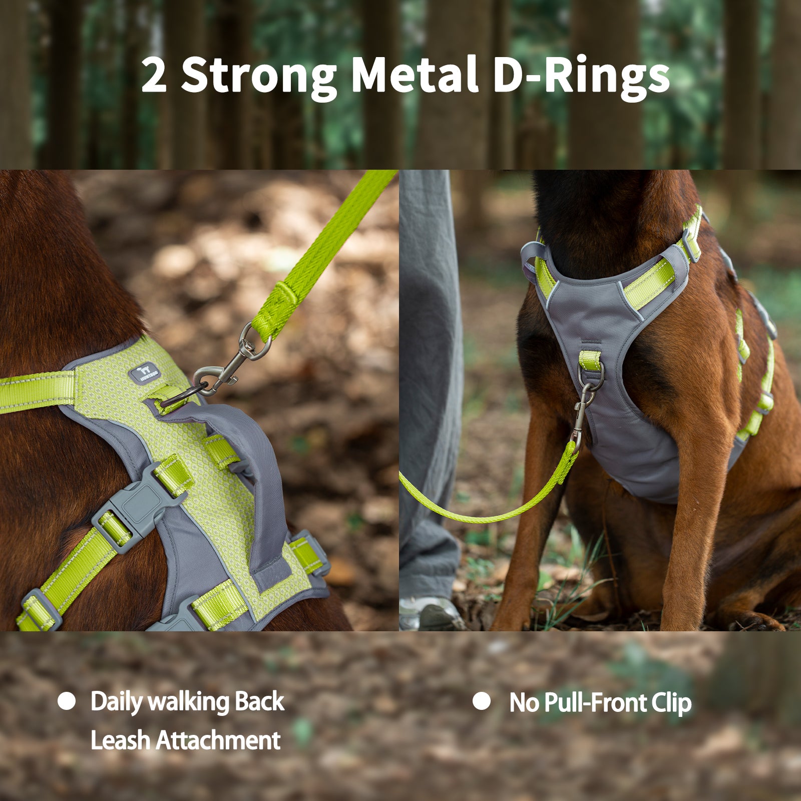 AllShieldPro Reflective Bright Green dog harness complete product feature overview