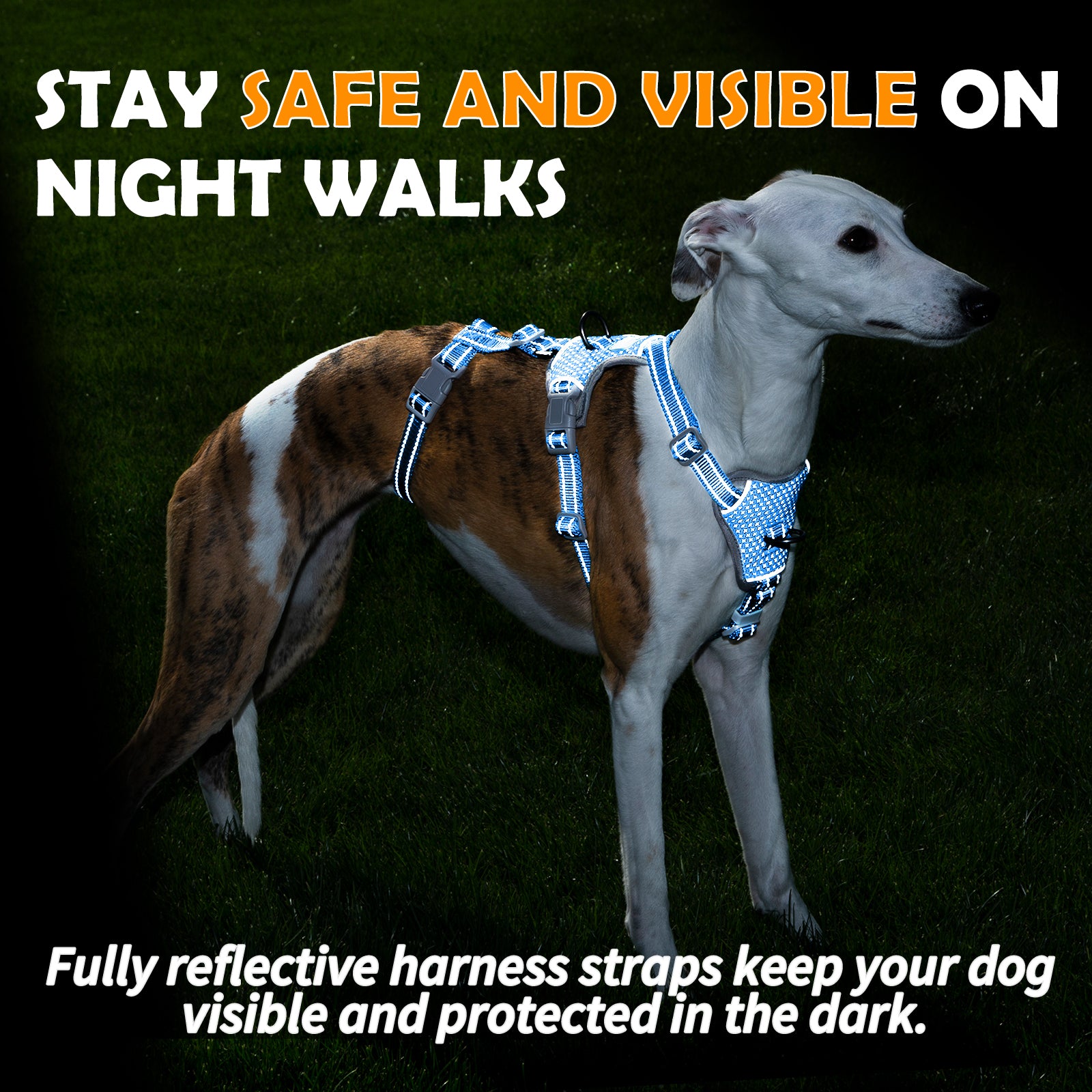 Two-in-OneGuard Reflective Sea Blue dog harness adjustable straps and buckle details