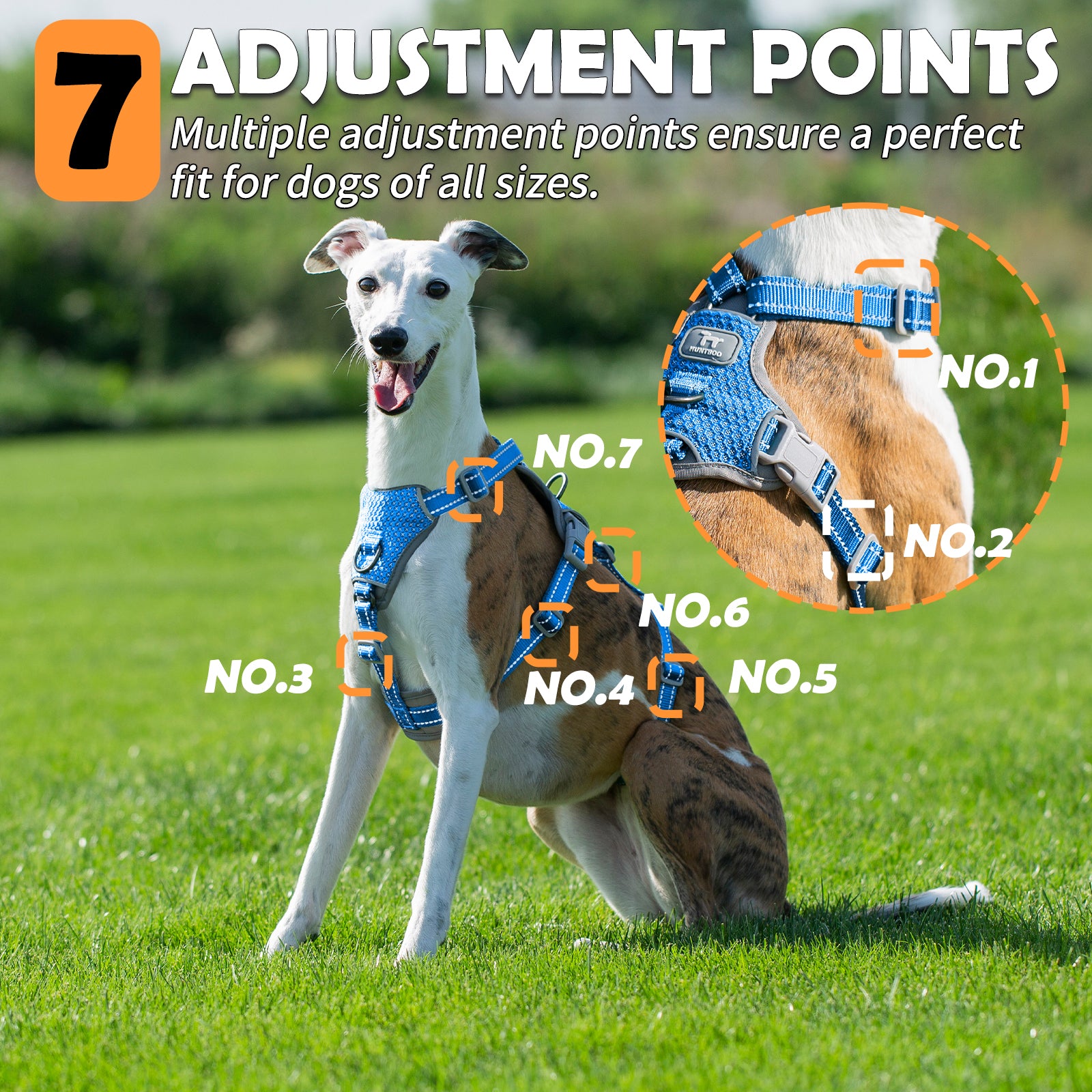 Two-in-OneGuard Reflective Sea Blue dog harness adjustment points and buckle details