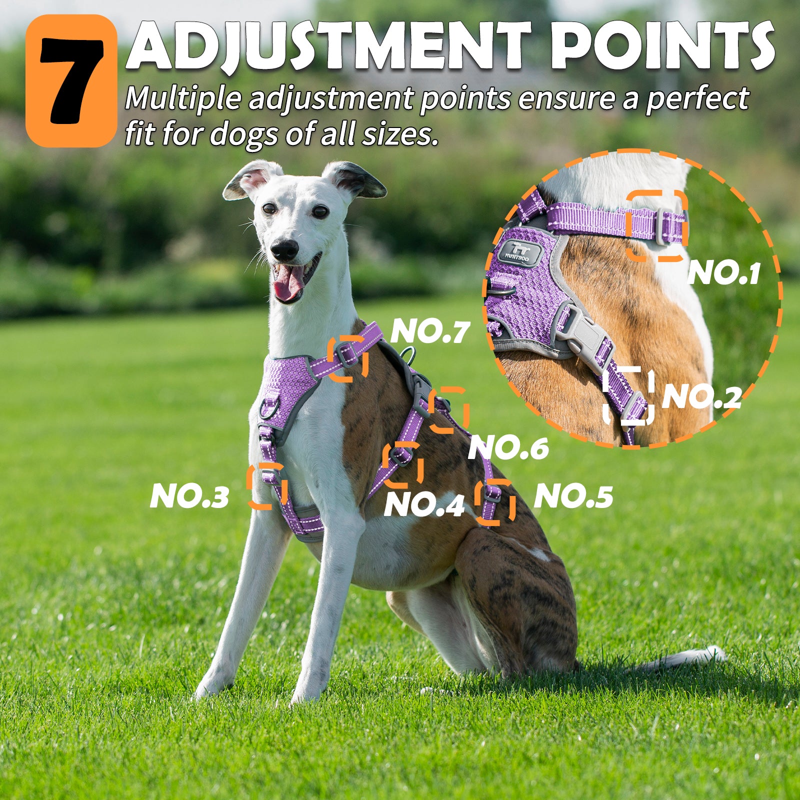 Two-in-OneGuard Reflective Lavender Purple dog harness adjustment points and buckle details