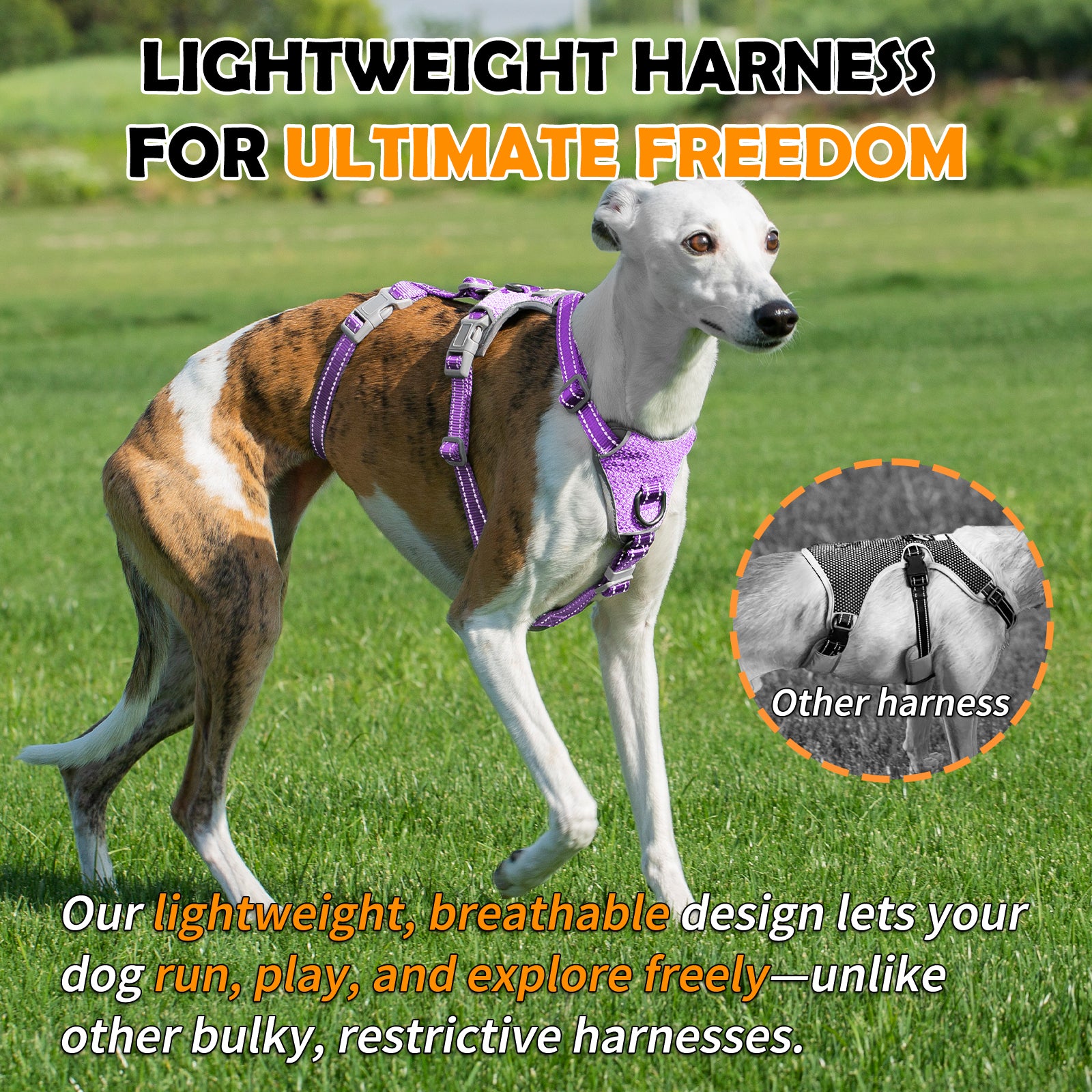 Two-in-OneGuard Reflective Lavender Purple dog harness padded comfort and breathable construction