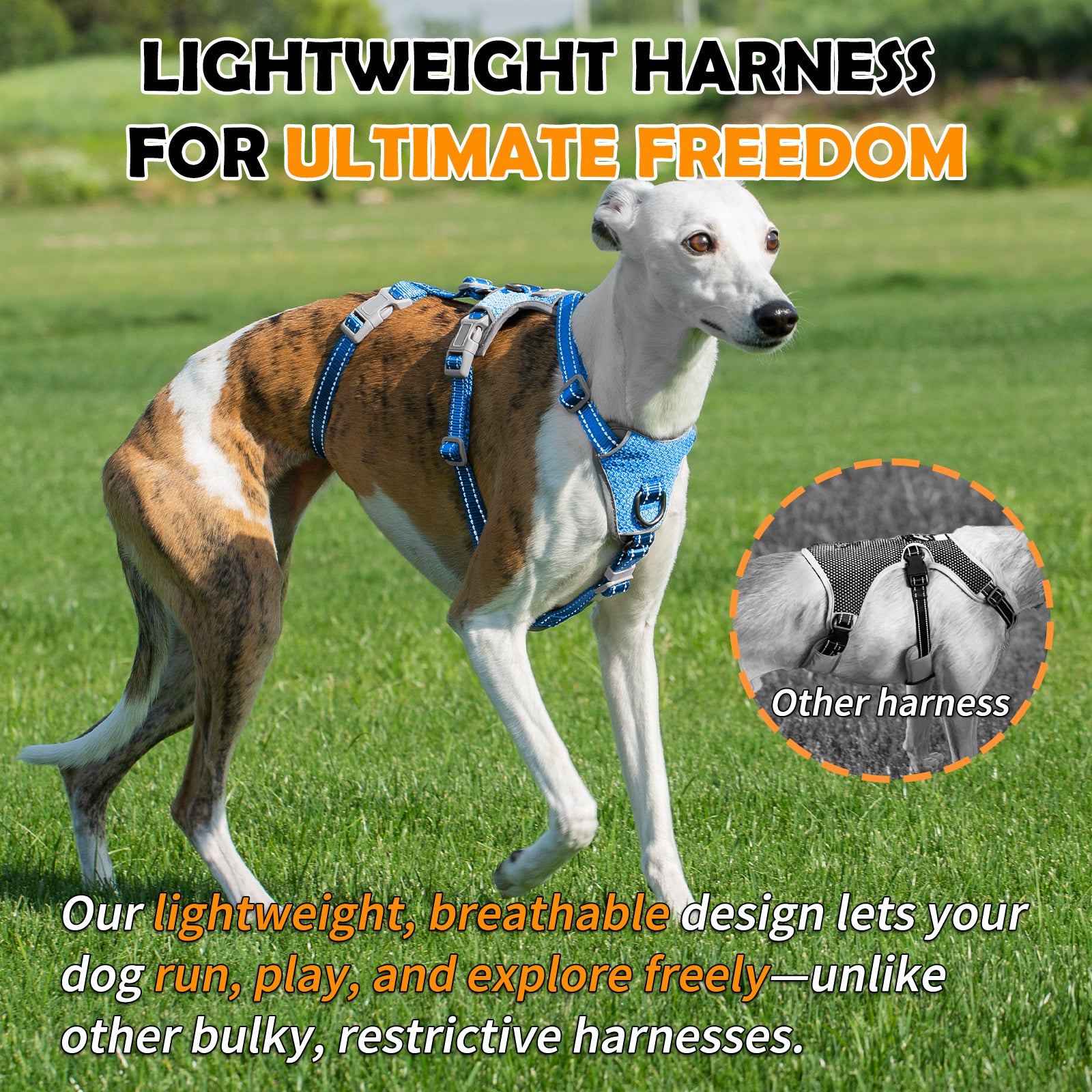 Two-in-OneGuard Reflective Sea Blue dog harness padded comfort and breathable construction