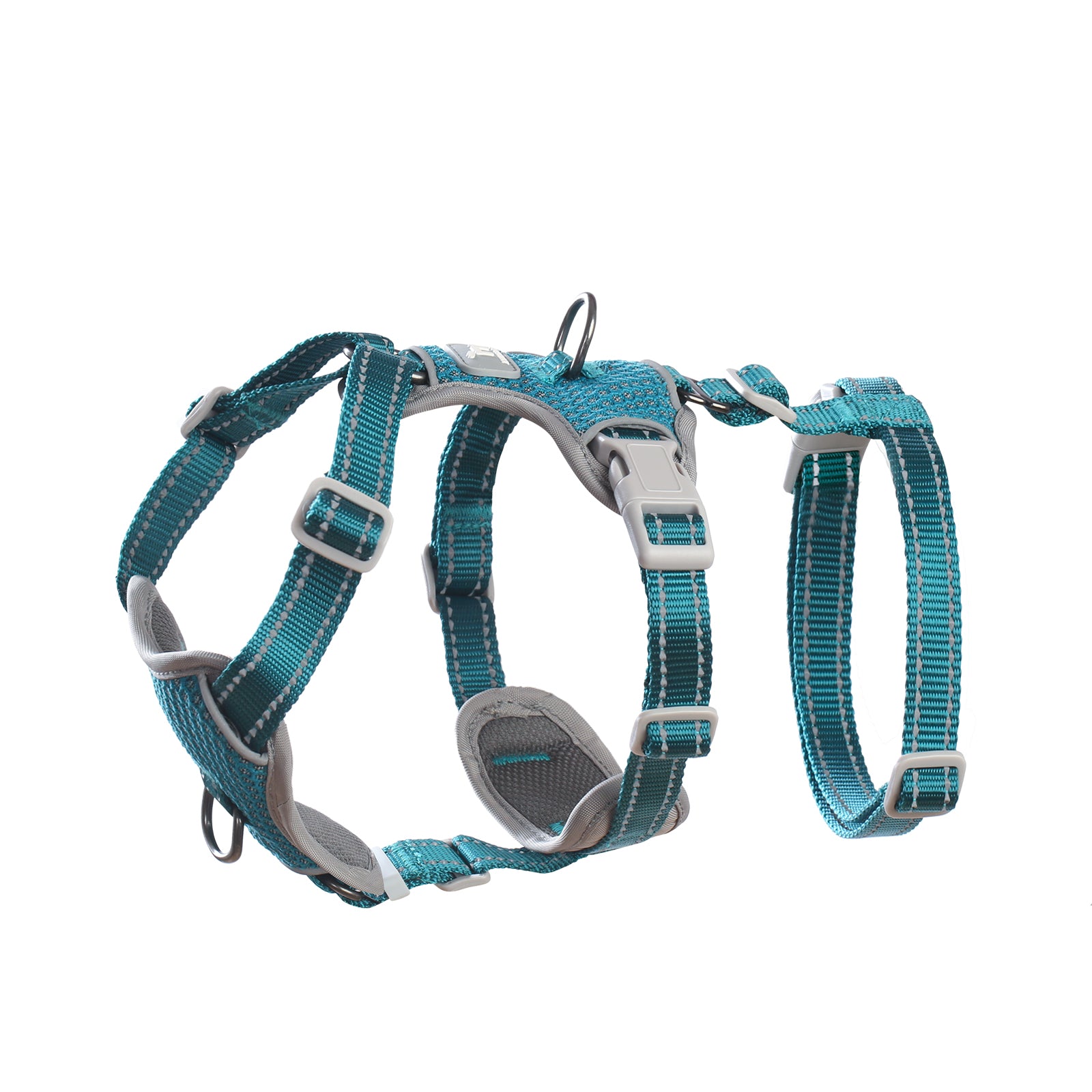 Teal Two-in-OneGuard Reflective escape-resistant dog harness product image