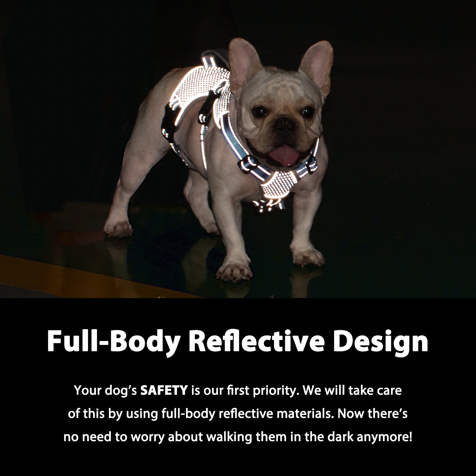 BackSecure Reflective Sea Blue dog harness reflective visibility details