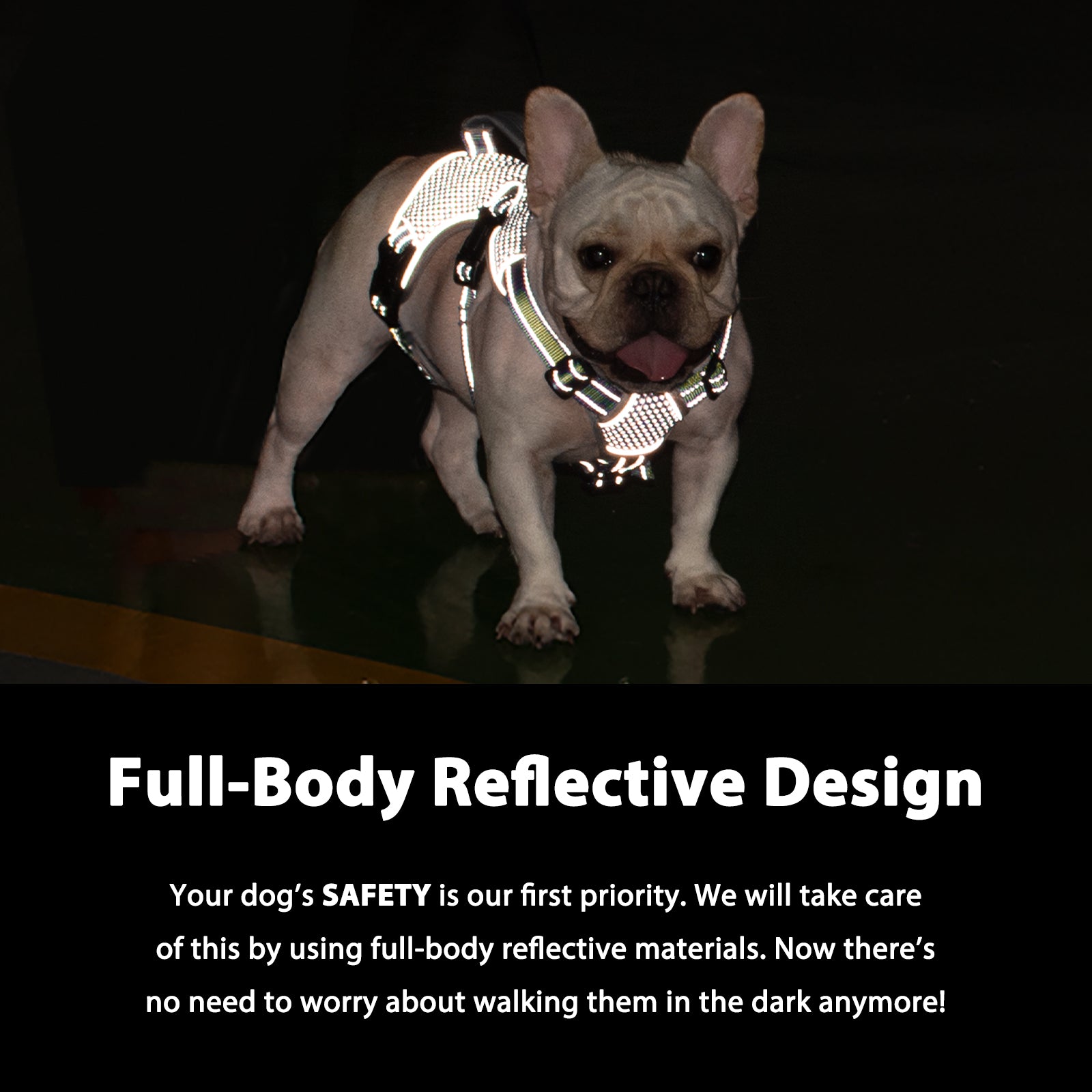 BackSecure Reflective Green dog harness reflective visibility details
