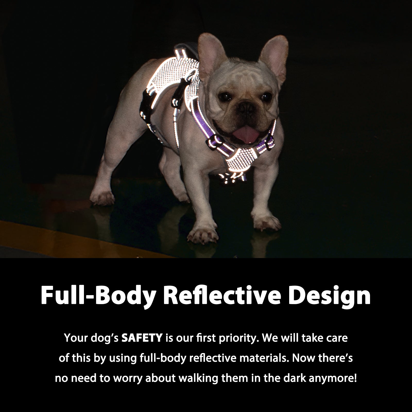 BackSecure Reflective Lavender Purple dog harness reflective visibility details
