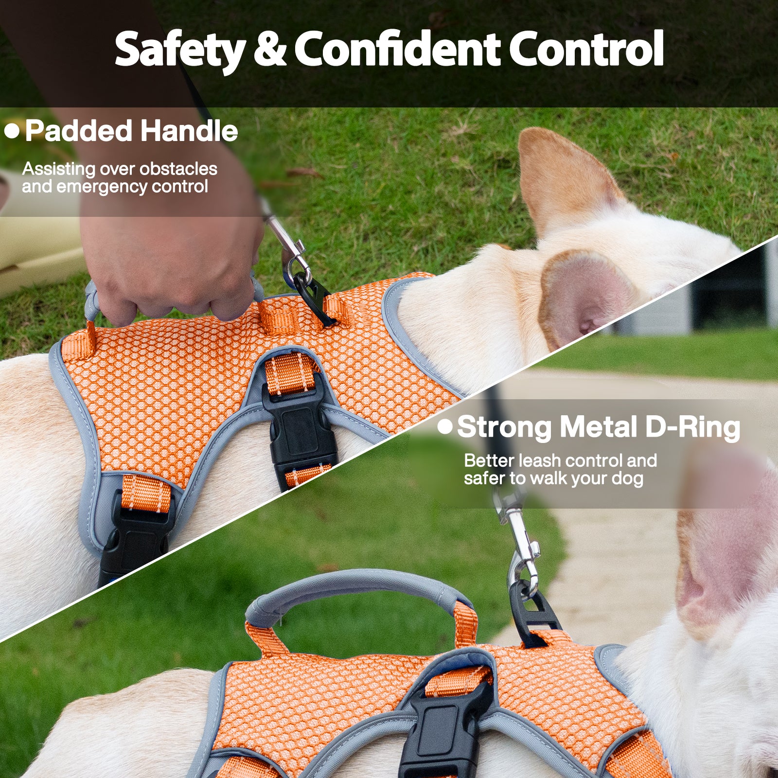 BackSecure Reflective Orange dog harness reflective visibility details