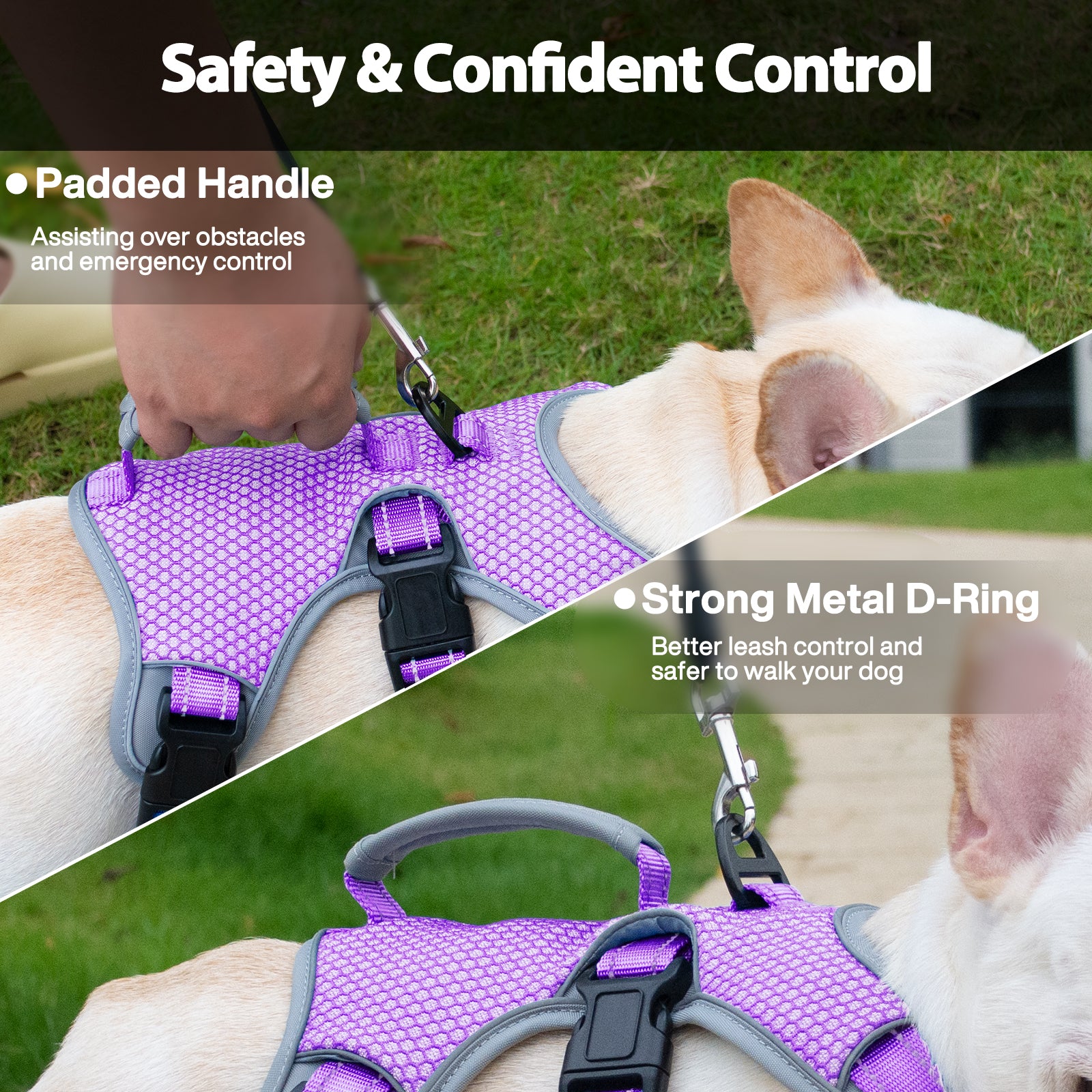 BackSecure Reflective Lavender Purple dog harness adjustable straps and buckle details