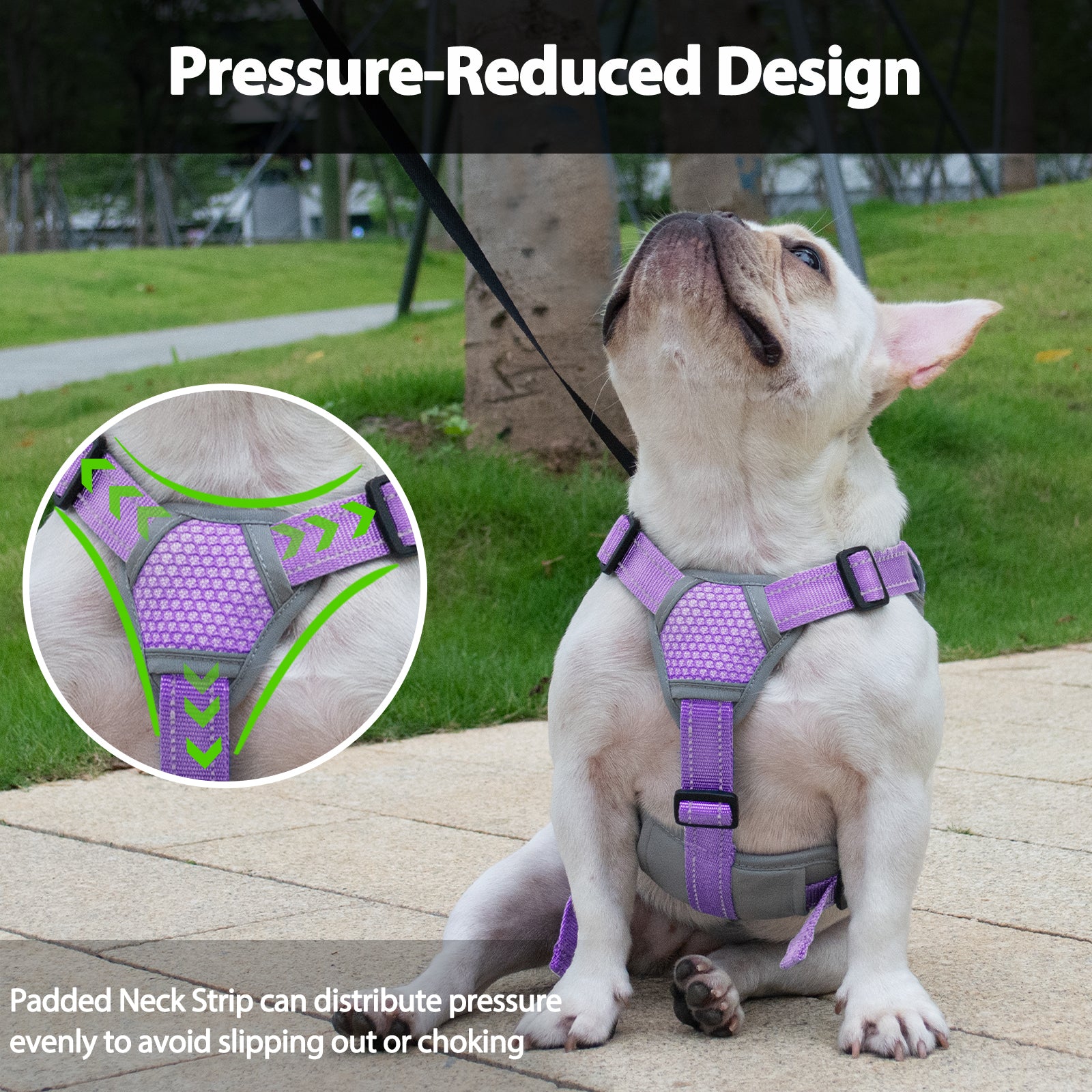 BackSecure Reflective Lavender Purple dog harness handle and leash attachment details