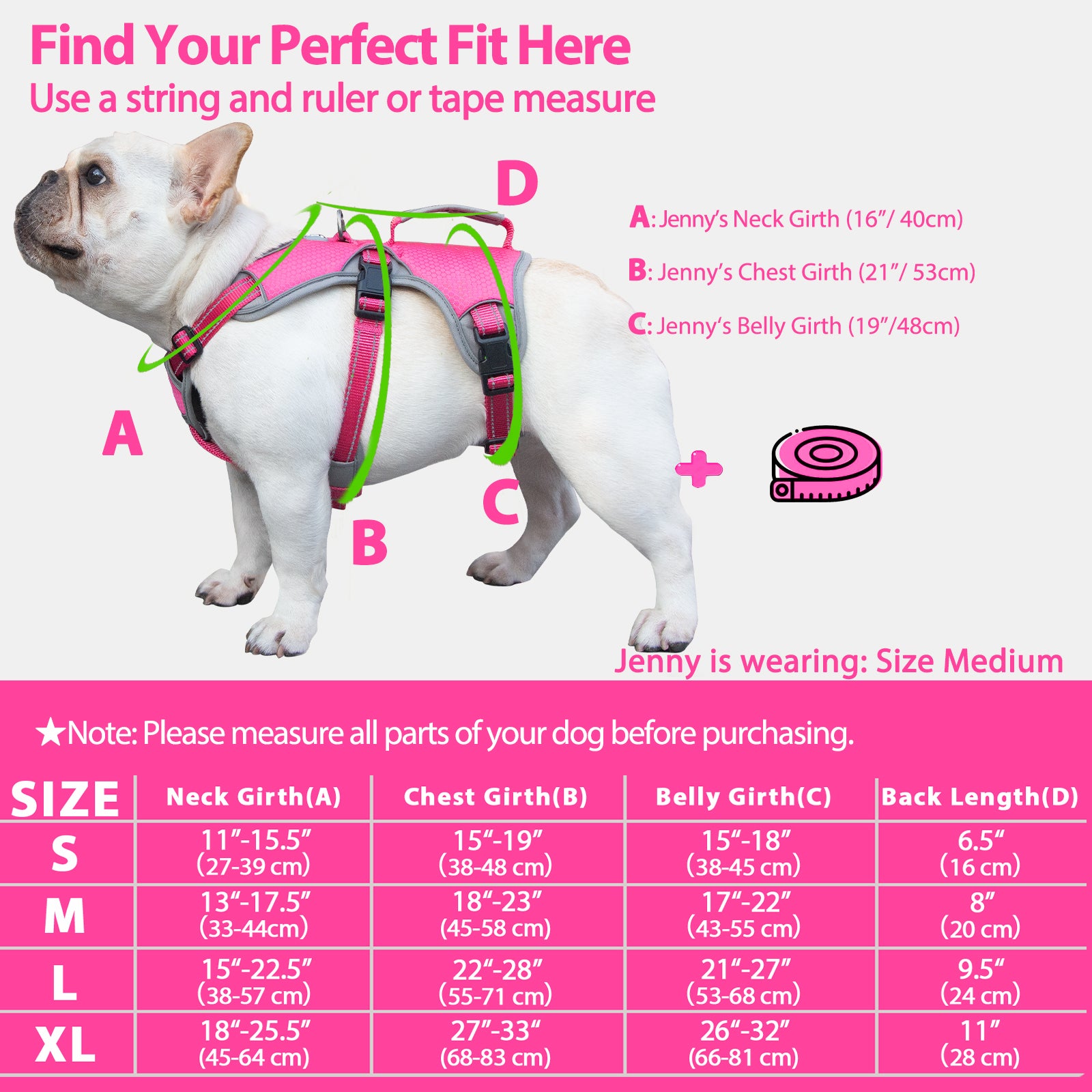 BackSecure Dustproof Rose Red dog harness alternate product view and strap layout