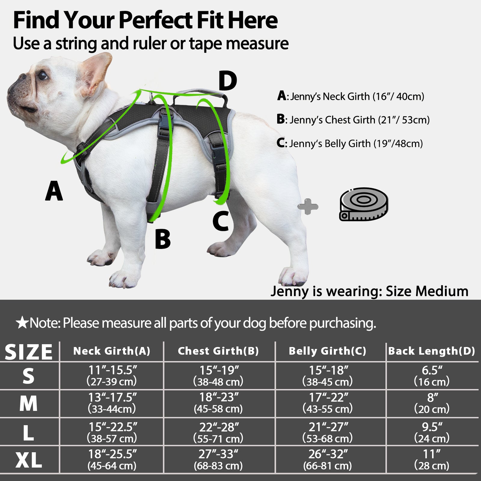 BackSecure Dustproof Black dog harness alternate product view and strap layout