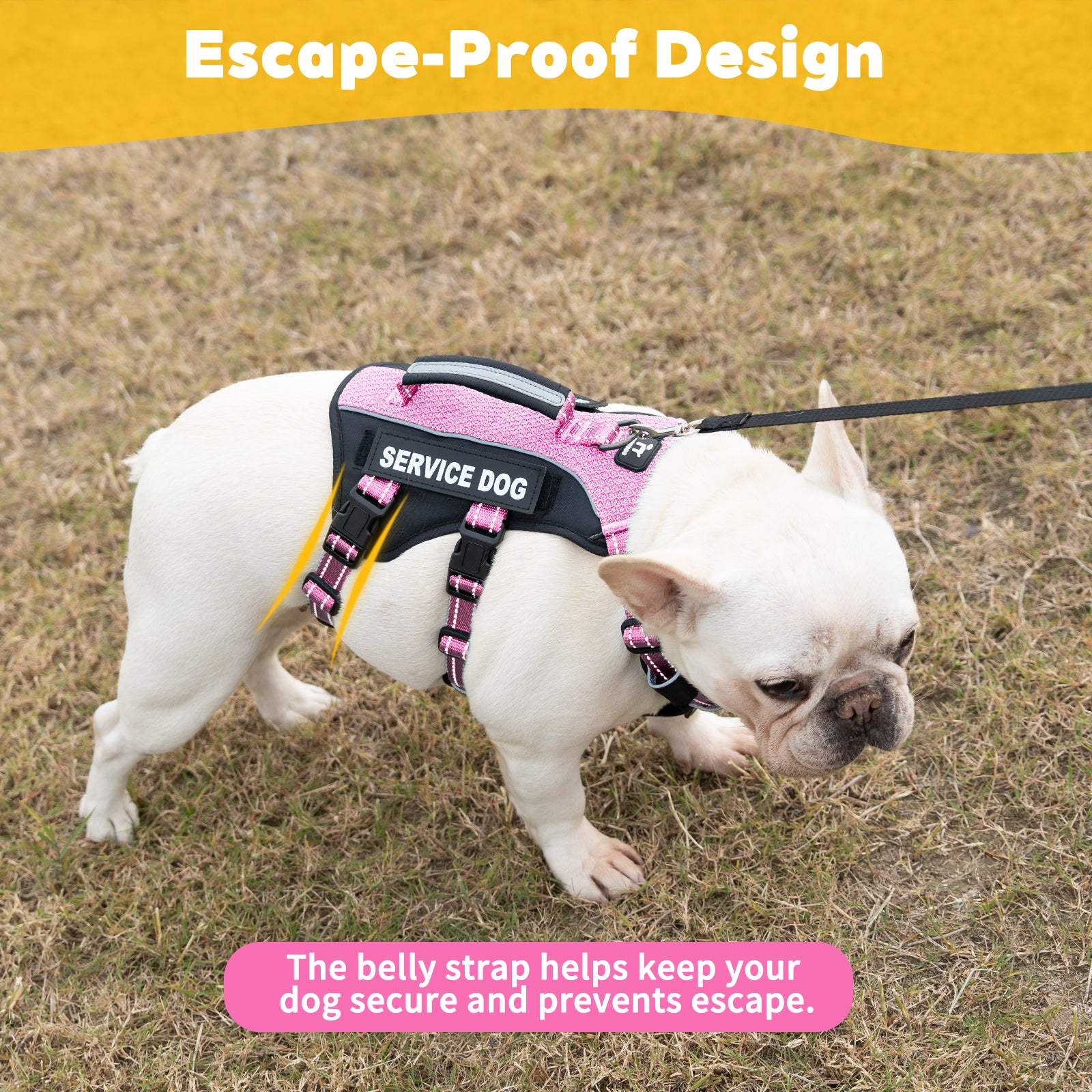 GuardPatchPro Reflective dog harness reflective visibility details
