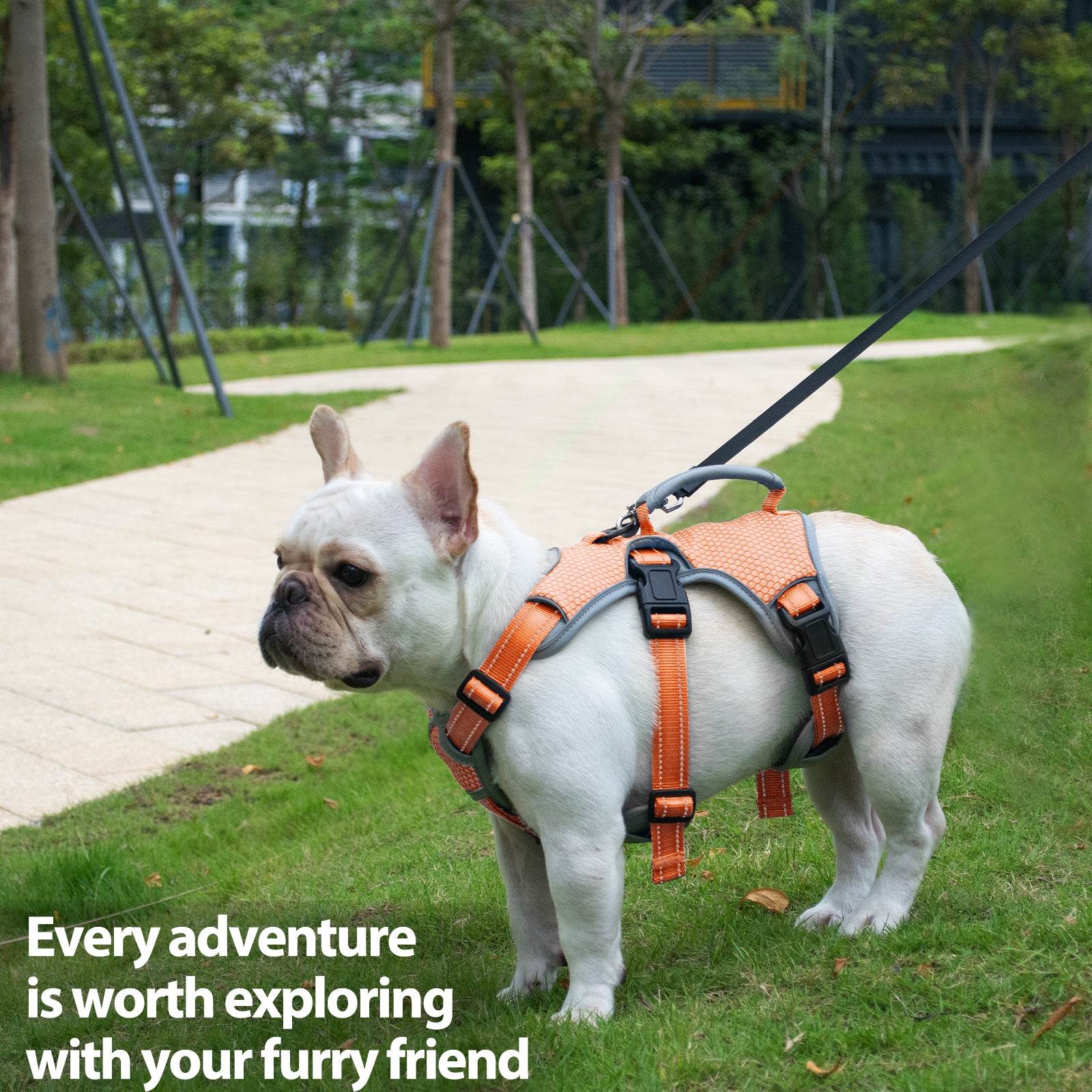 BackSecure Reflective Orange dog harness handle and leash attachment details