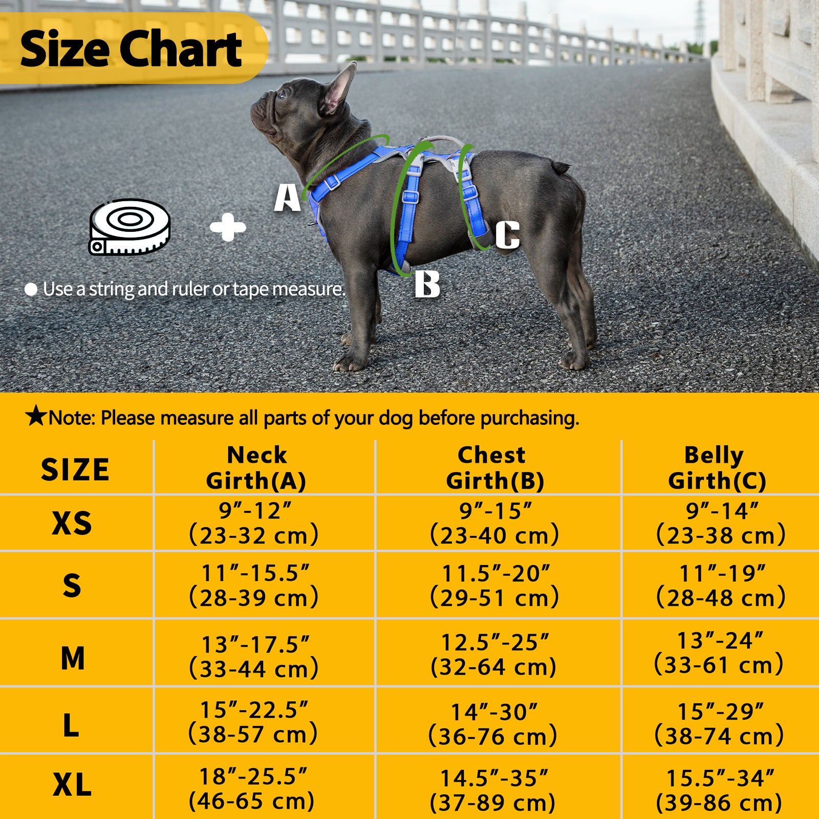 HalfGuardian Reflective Sea Blue dog harness coverage and fit details