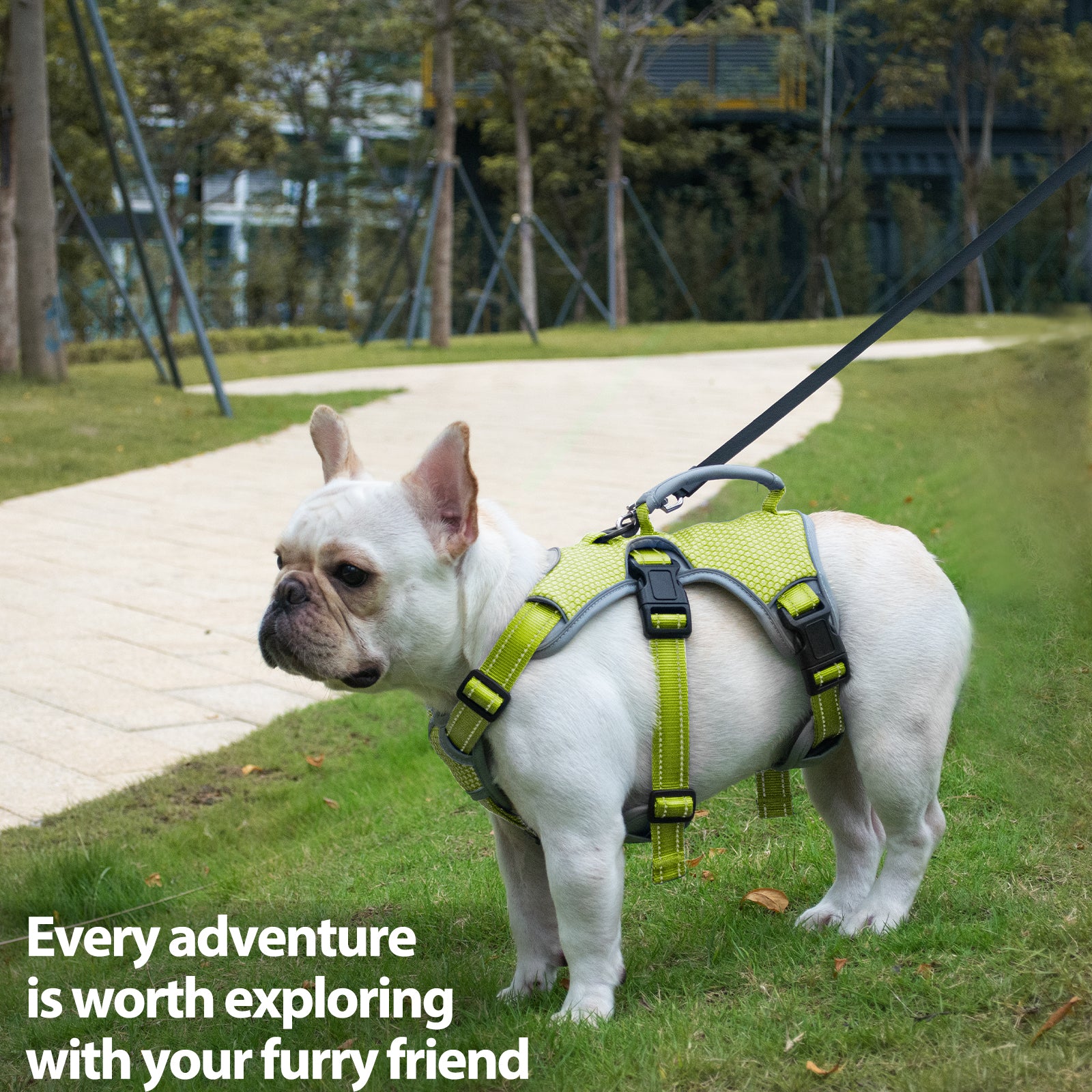 BackSecure Reflective Green dog harness padded comfort and breathable construction