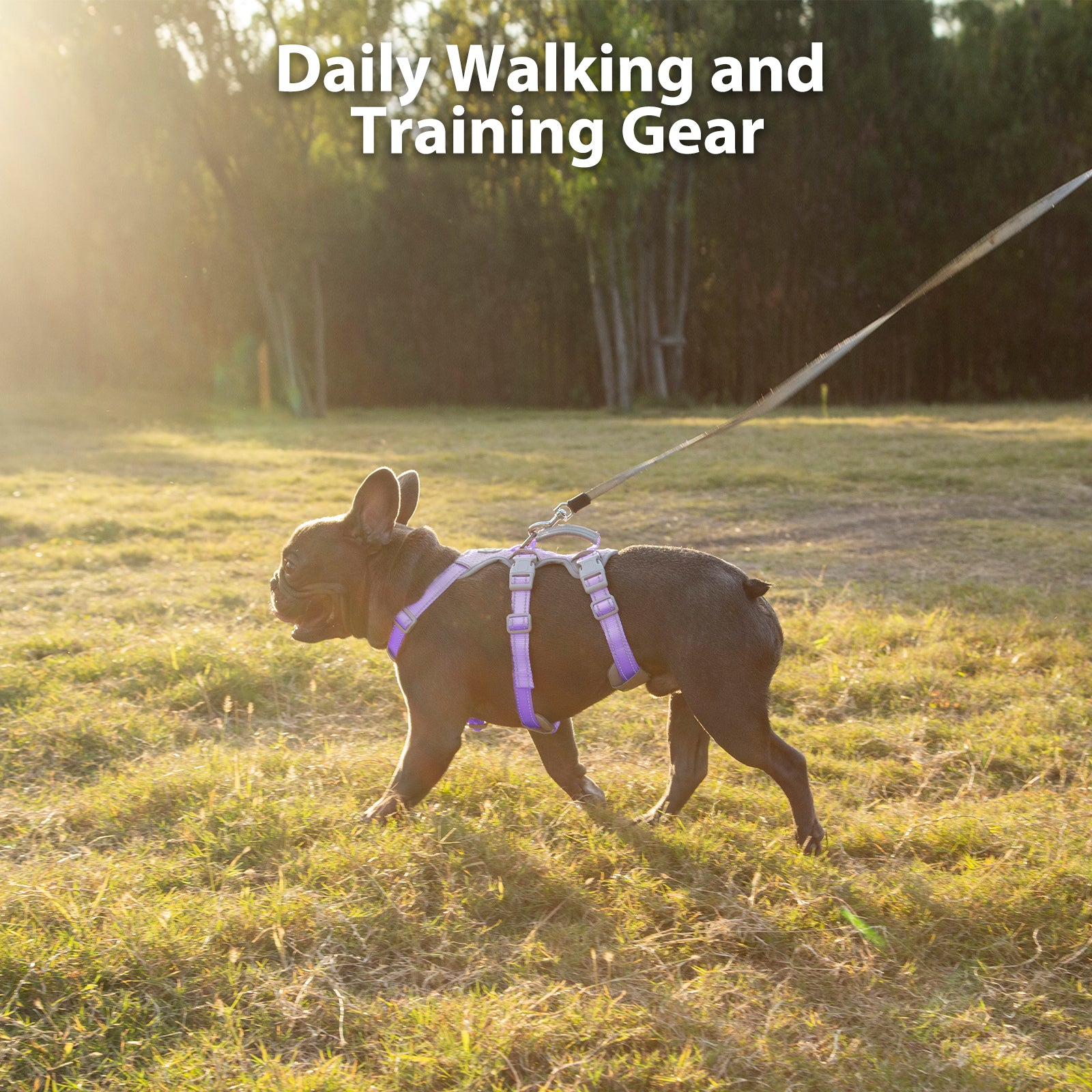 HalfGuardian Reflective Lavender Purple dog harness size and fitting information