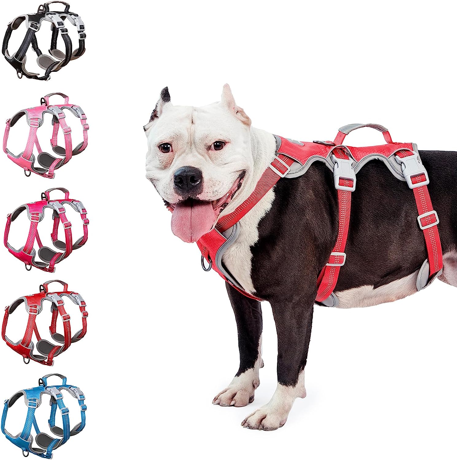 HalfGuardian Dustproof Red dog harness alternate product view and strap layout