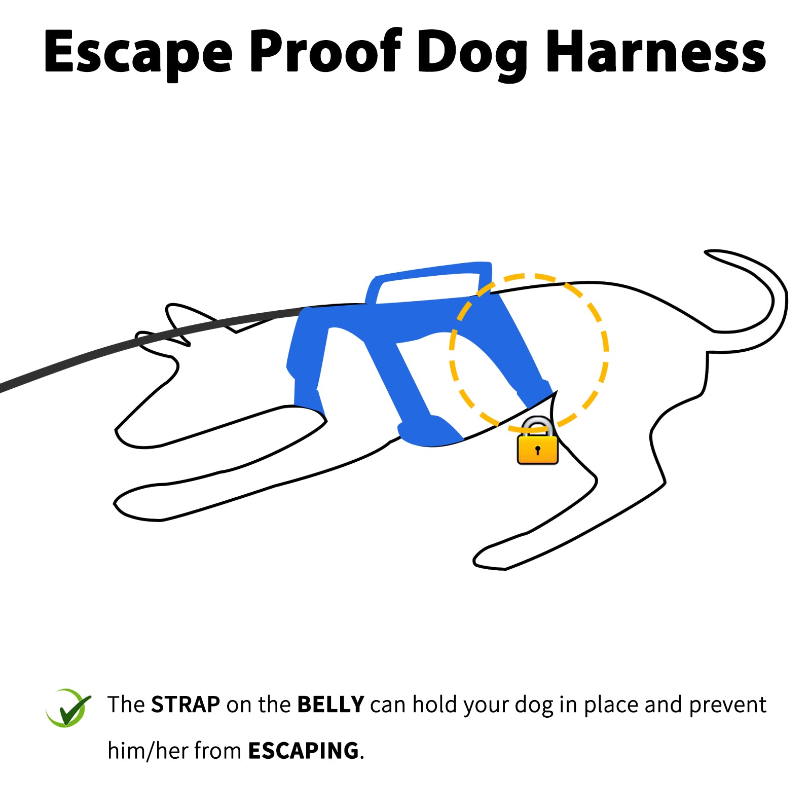 BackSecure Reflective Sea Blue dog harness coverage and fit details