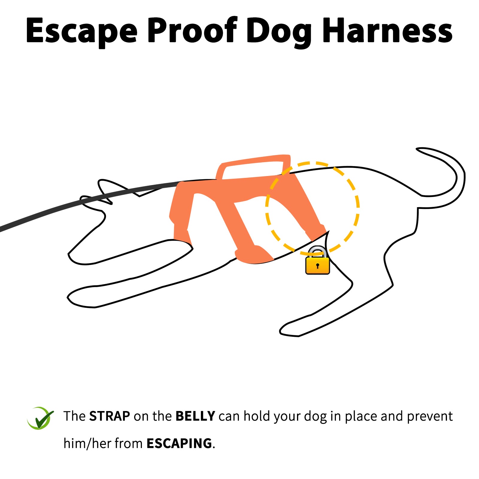 BackSecure Reflective Orange dog harness coverage and fit details