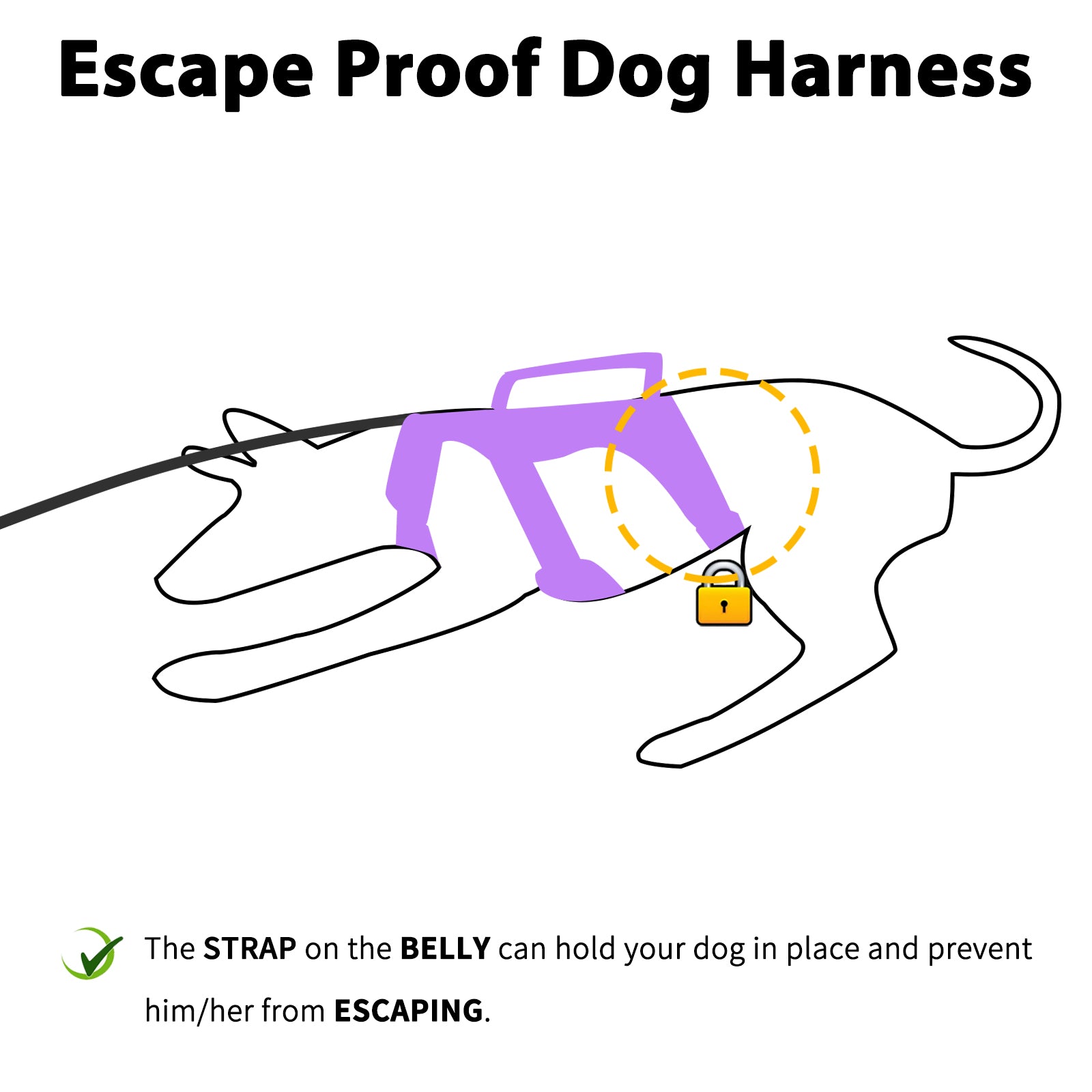 BackSecure Reflective Lavender Purple dog harness coverage and fit details