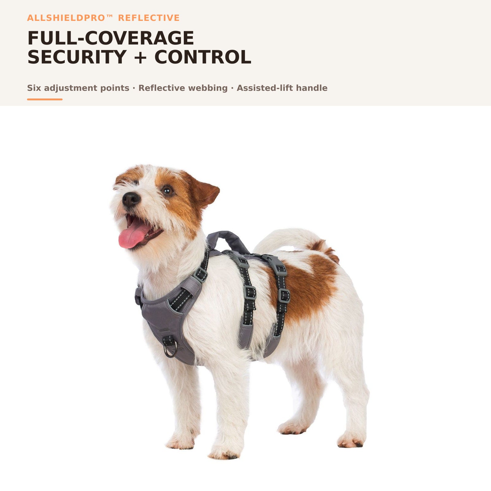 Huntboo AllShieldPro Reflective dog harness in black, overall fit and coverage #color_black