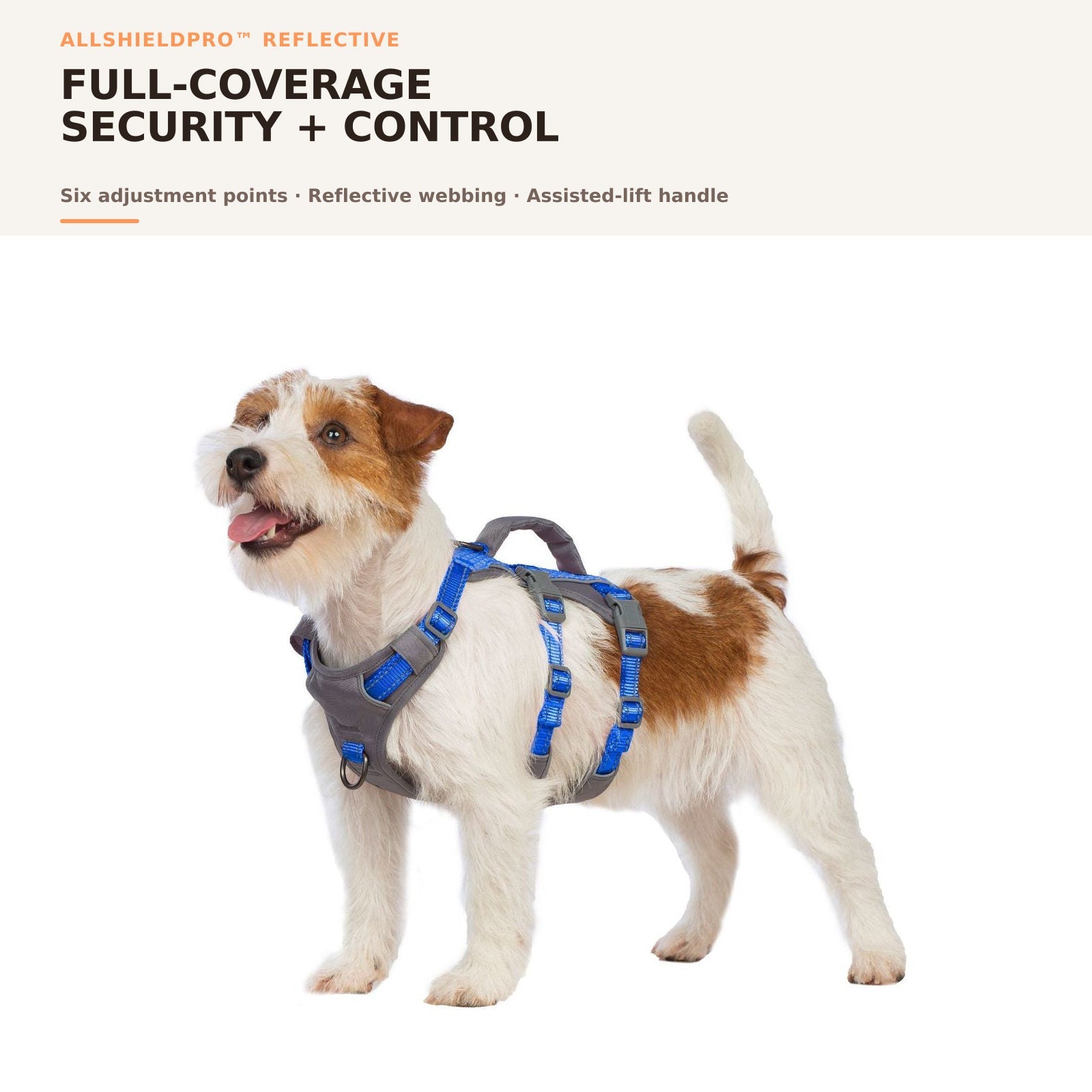 Huntboo AllShieldPro Reflective dog harness in sea blue, overall fit and coverage #color_sea blue