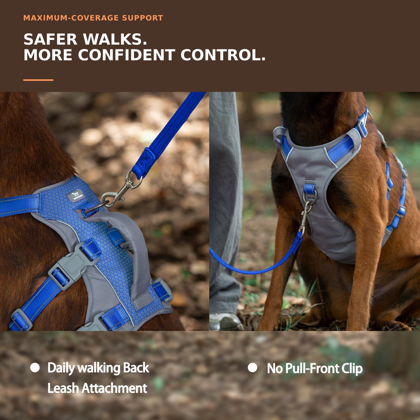 Huntboo AllShieldPro Reflective dog harness in sea blue, worn by a dog outdoors #color_sea blue