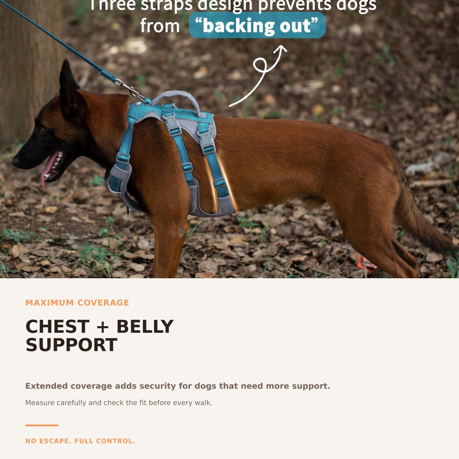 Huntboo AllShieldPro Reflective dog harness in teal blue, secure coverage details #color_teal blue