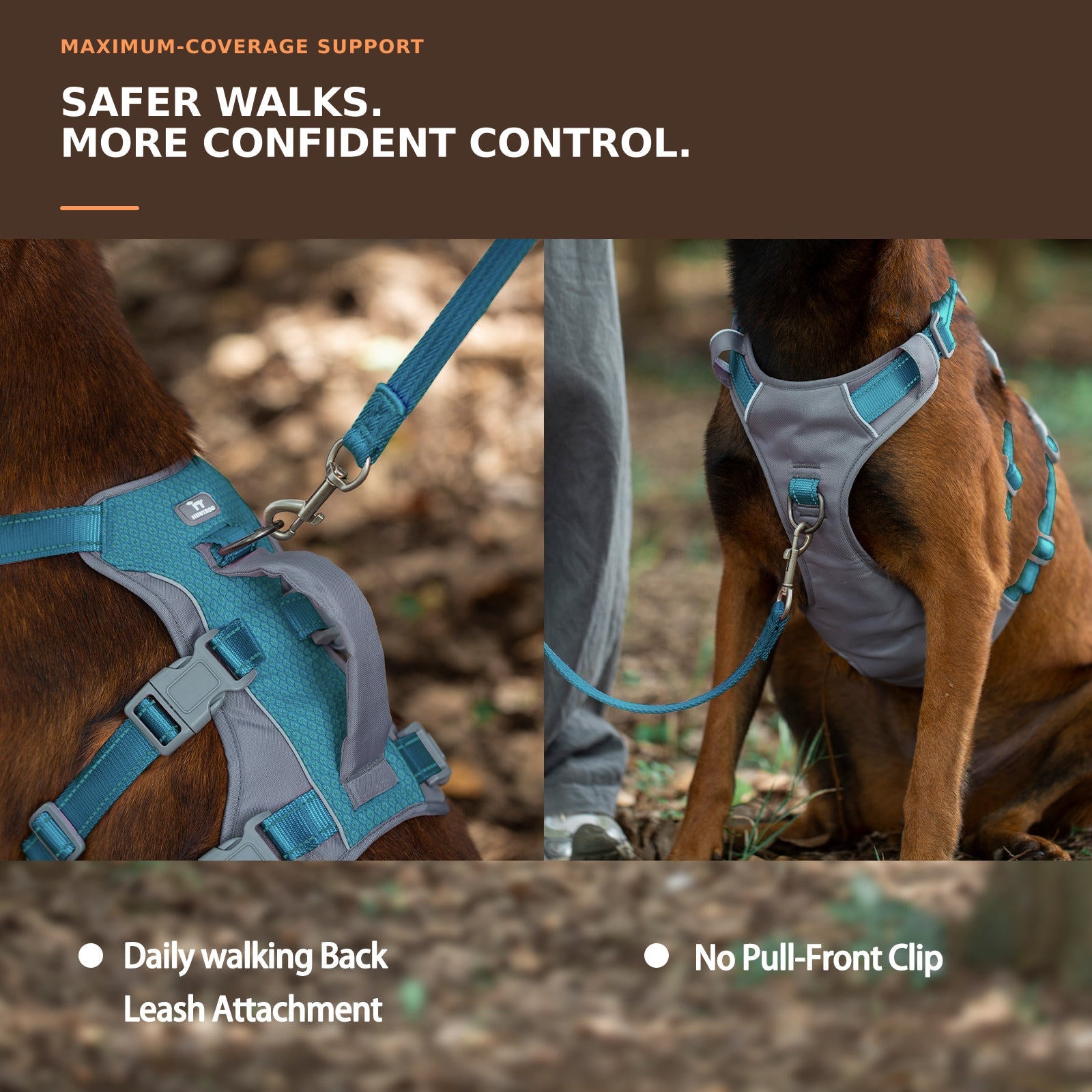 Huntboo AllShieldPro Reflective dog harness in teal blue, worn by a dog outdoors #color_teal blue