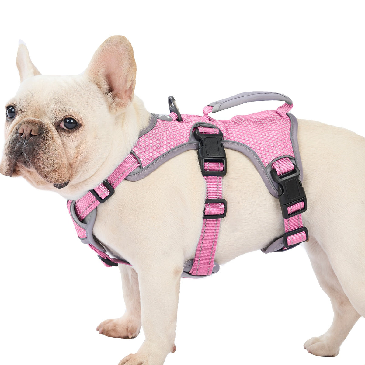 Huntboo BackSecure Reflective escape-proof dog harness in pink, worn by a French Bulldog #color_pink