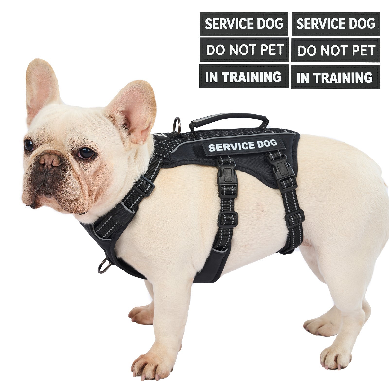 GuardPatchPro Reflective Black dog harness #color_black