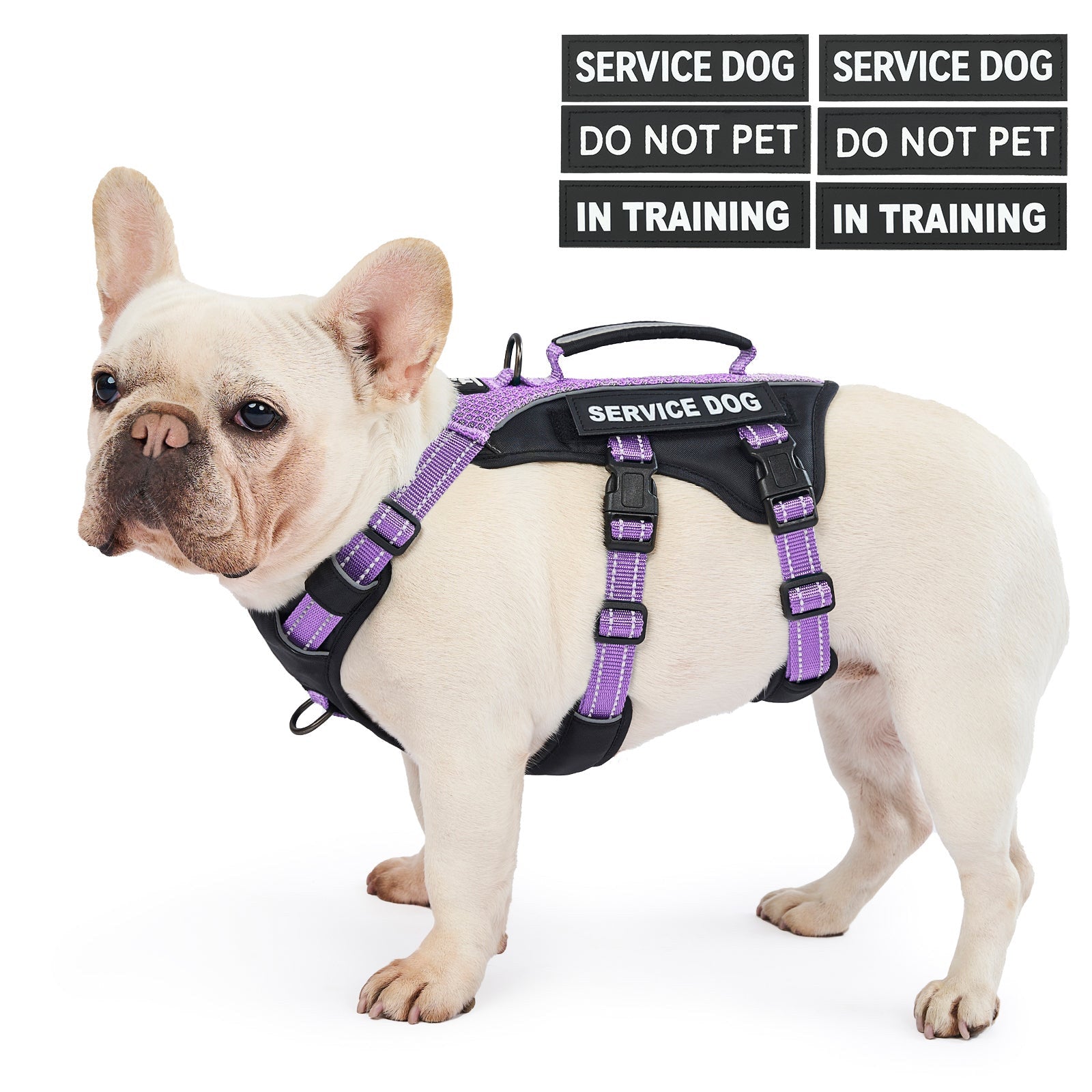 GuardPatchPro Reflective Lavender Purple dog harness #color_lavender purple