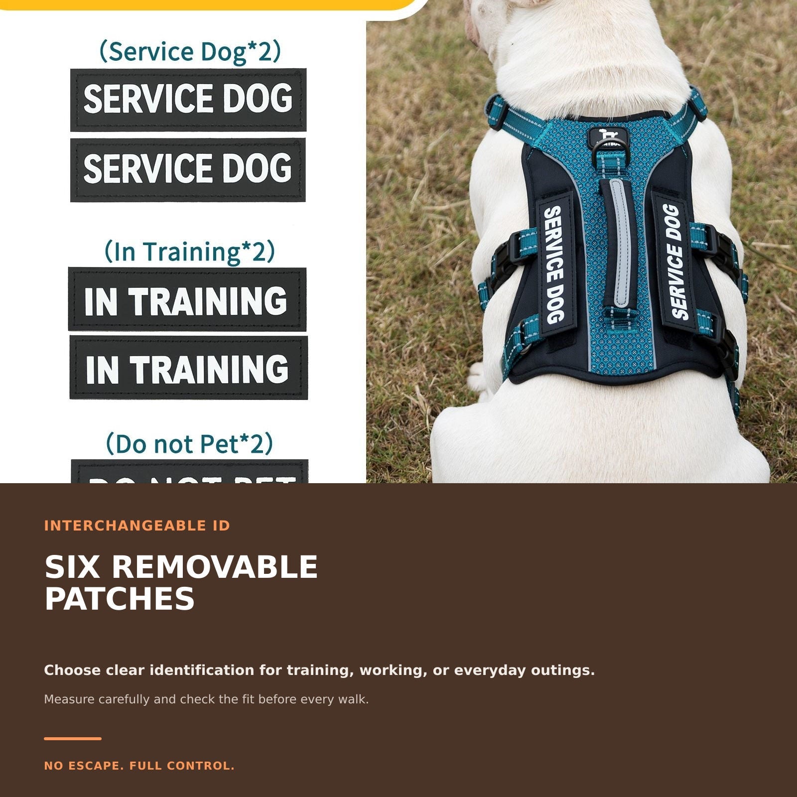 GuardPatchPro Reflective Teal dog harness #color_teal