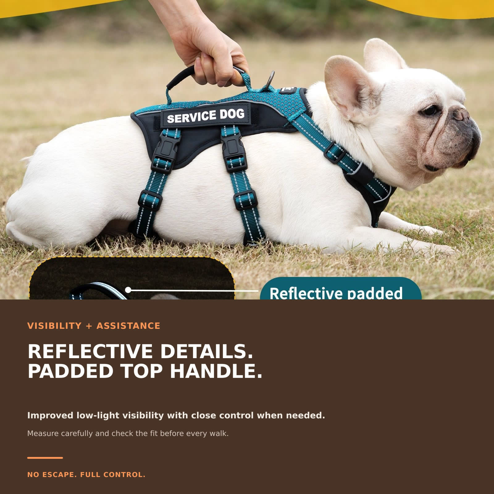 GuardPatchPro Reflective Teal dog harness #color_teal