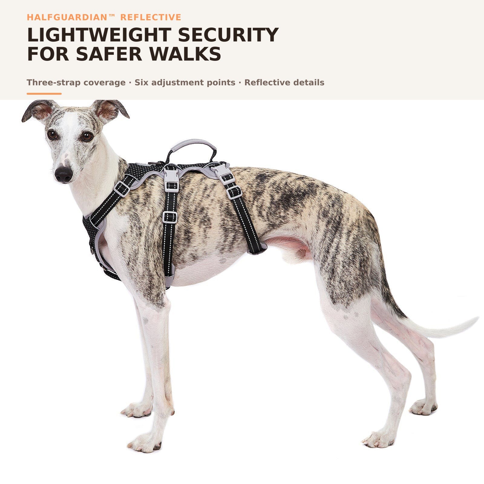 Huntboo HalfGuardian Reflective escape-proof dog harness in static black, on-dog overview #color_static black