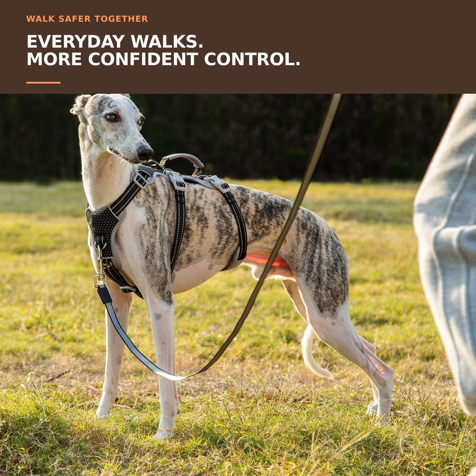 Huntboo HalfGuardian Reflective escape-proof dog harness in static black, worn by a dog outdoors #color_static black