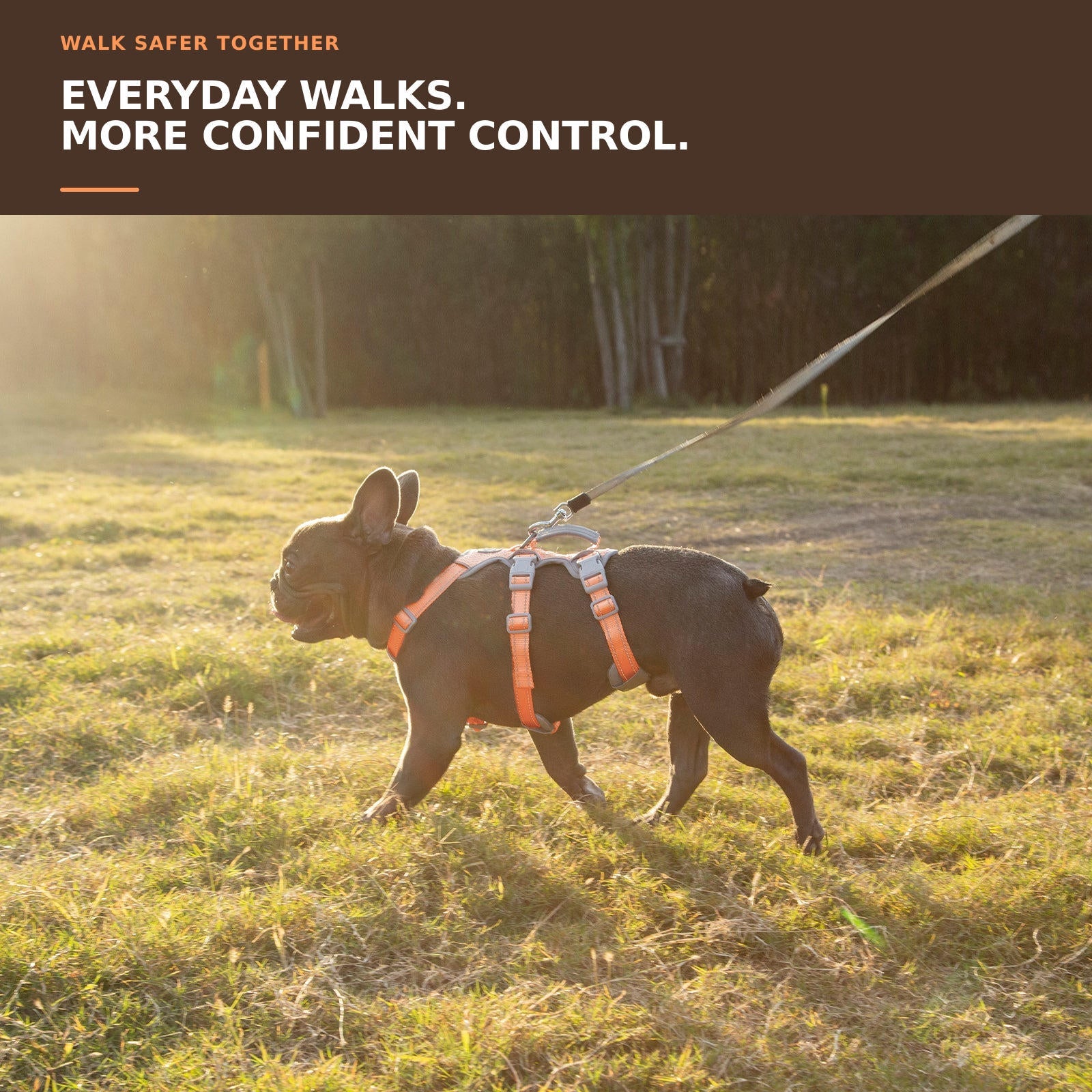 Huntboo HalfGuardian Reflective escape-proof dog harness in bright orange, worn by a dog outdoors #color_bright orange
