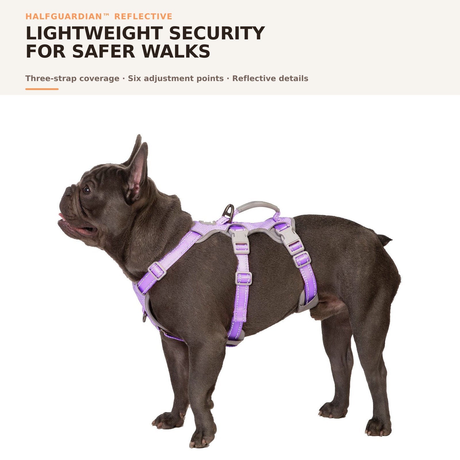 Huntboo HalfGuardian Reflective escape-proof dog harness in lavender purple, on-dog overview #color_lavender purple