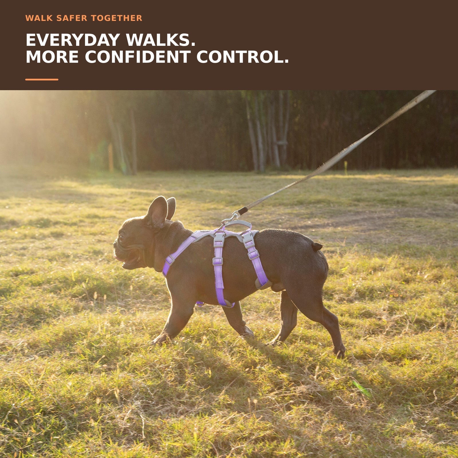 Huntboo HalfGuardian Reflective escape-proof dog harness in lavender purple, worn by a dog outdoors #color_lavender purple