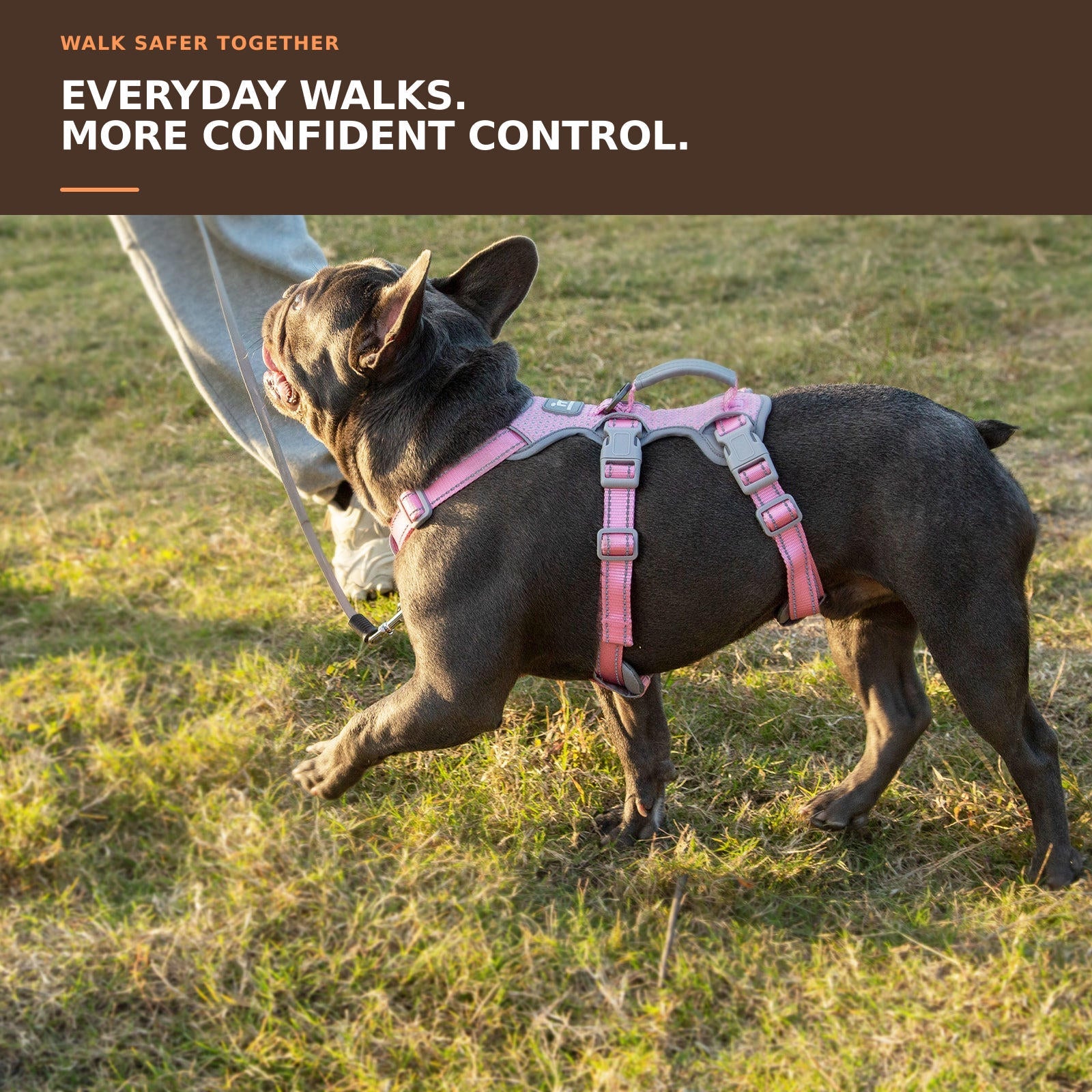 Huntboo HalfGuardian Reflective escape-proof dog harness in light pink, worn by a dog outdoors #color_light pink