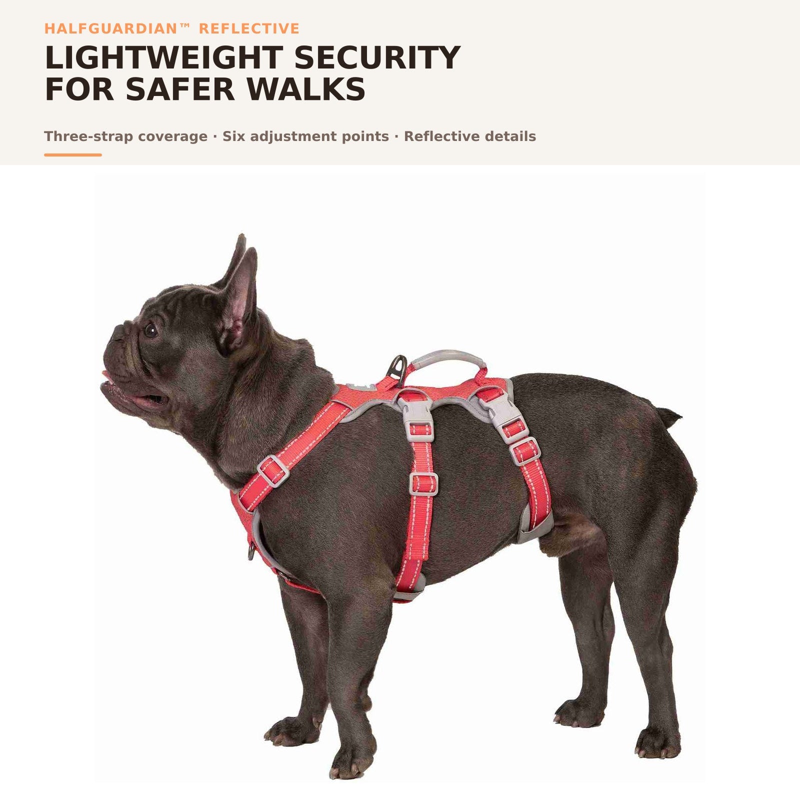 Huntboo HalfGuardian Reflective escape-proof dog harness in red, on-dog overview #color_red