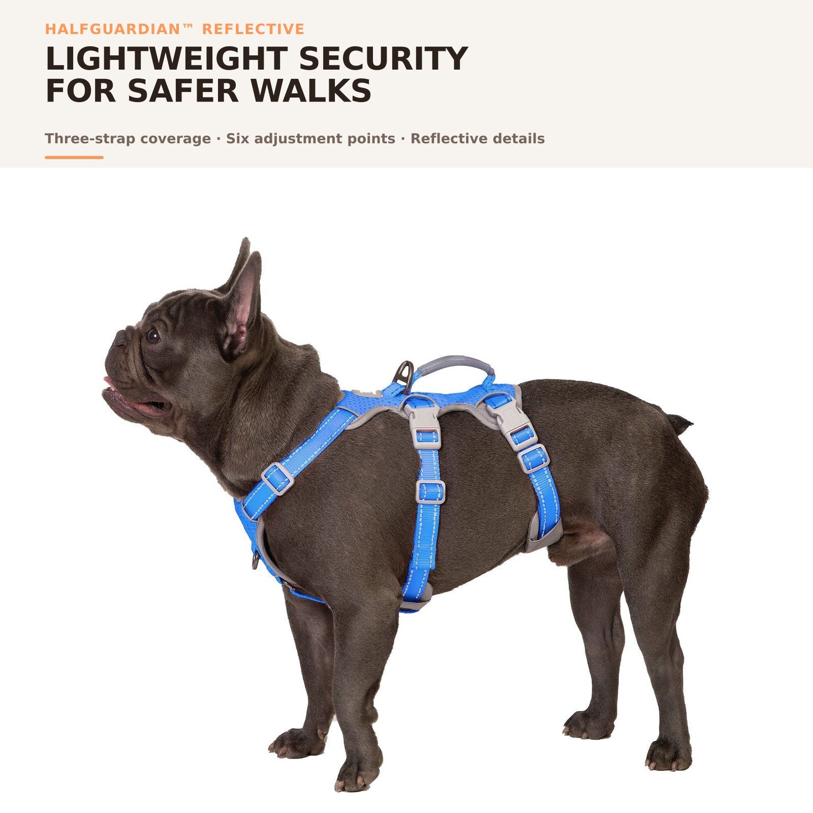 Huntboo HalfGuardian Reflective escape-proof dog harness in sea blue, on-dog overview #color_sea blue