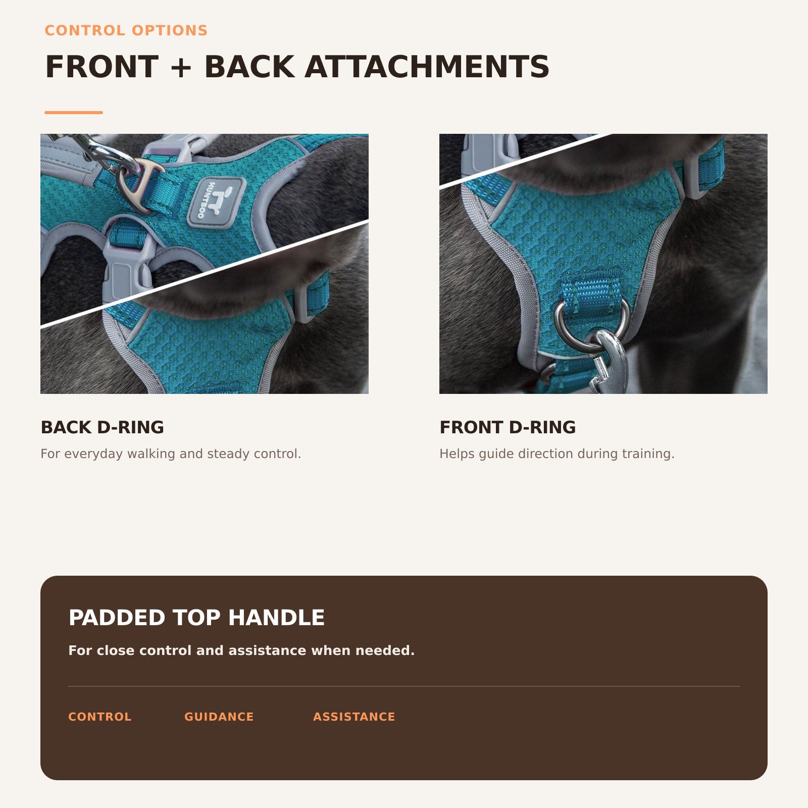 Huntboo HalfGuardian Reflective escape-proof dog harness in teal, front and back leash control options #color_teal