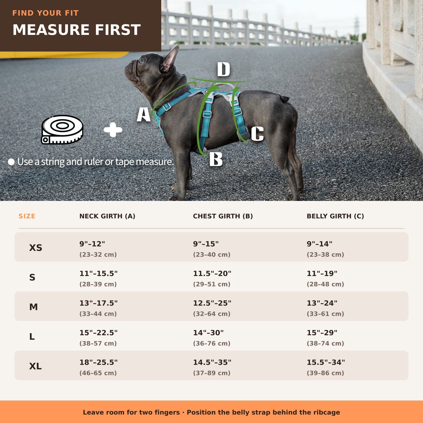 Huntboo HalfGuardian Reflective escape-proof dog harness in teal, size and measurement guide #color_teal