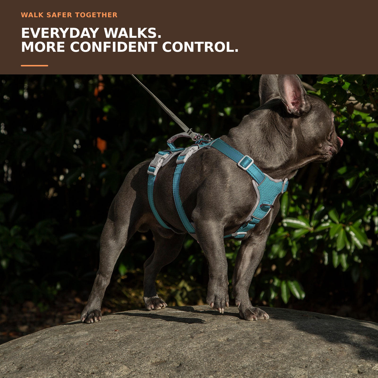 Huntboo HalfGuardian Reflective escape-proof dog harness in teal, worn by a dog outdoors #color_teal